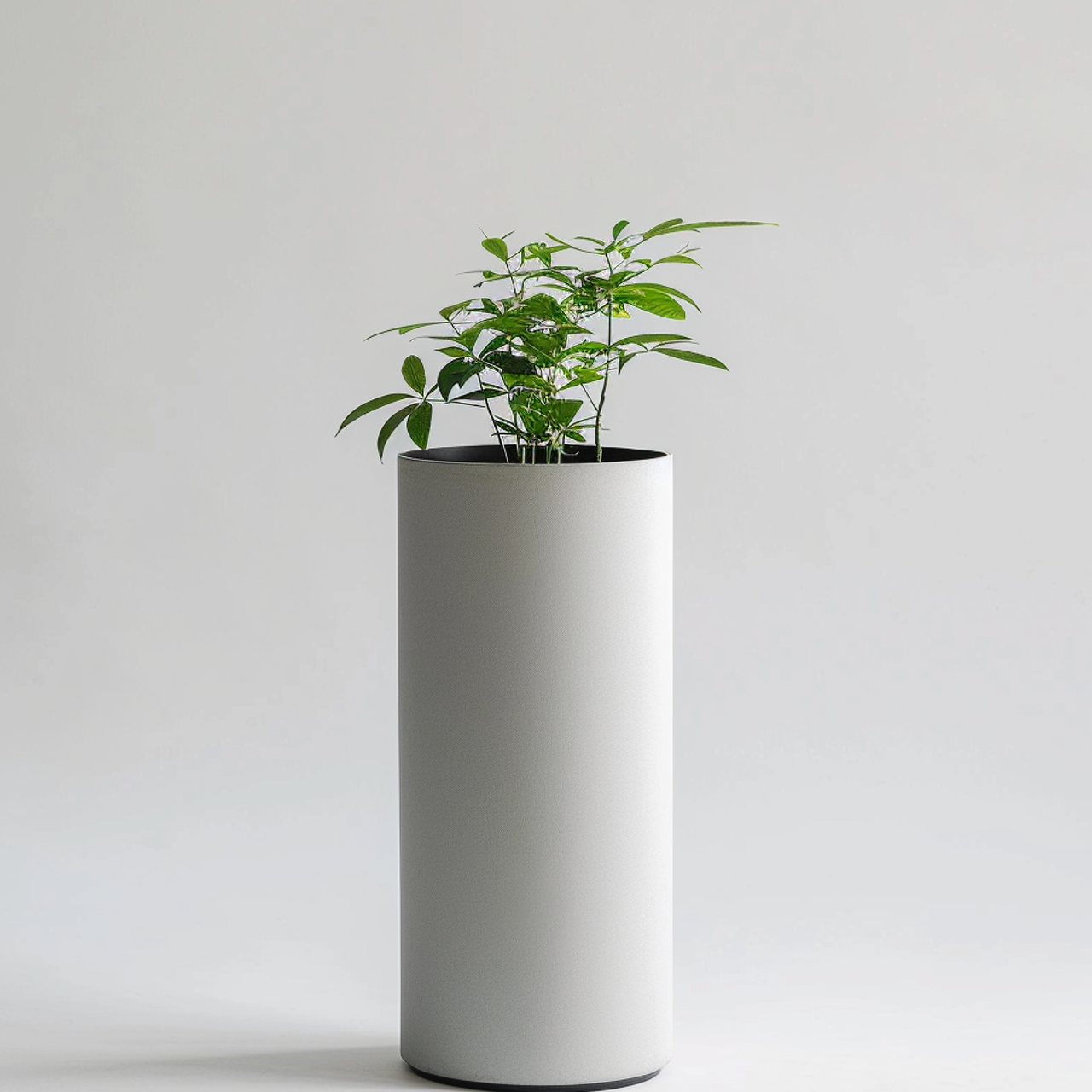 Нейродизайн. Фотограф в Твери Захаров Сергей