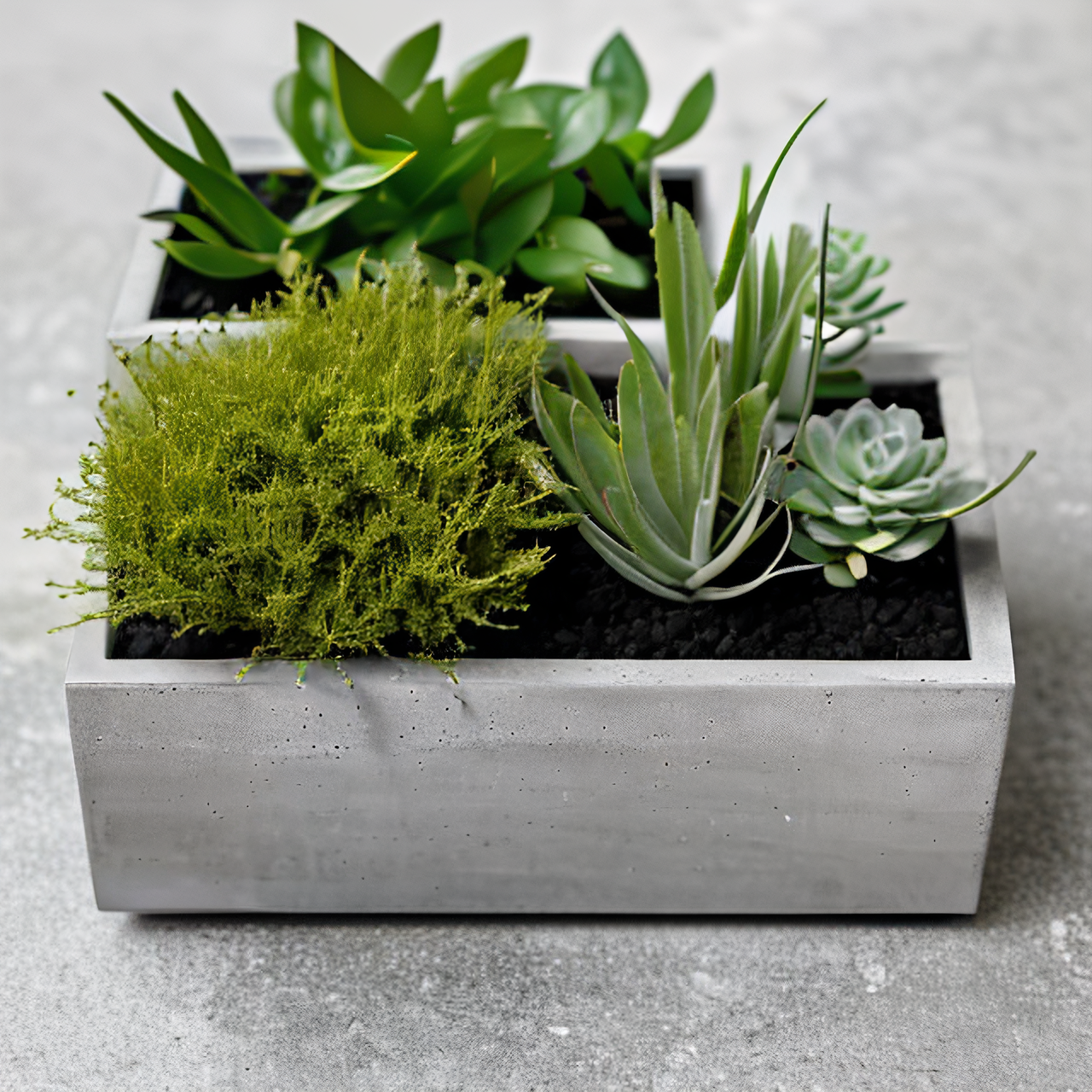 Нейродизайн. Фотограф в Твери Захаров Сергей