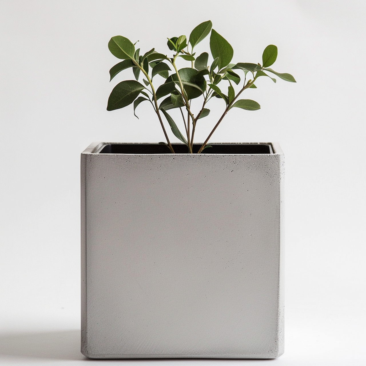 Нейродизайн. Фотограф в Твери Захаров Сергей