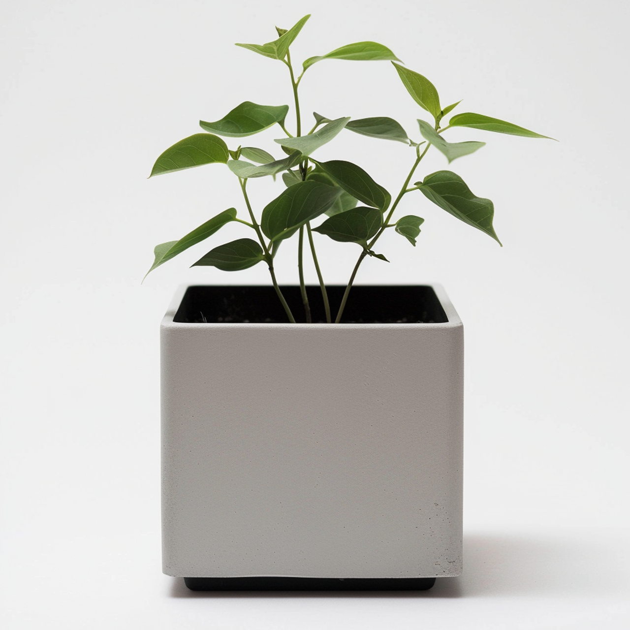 Нейродизайн. Фотограф в Твери Захаров Сергей