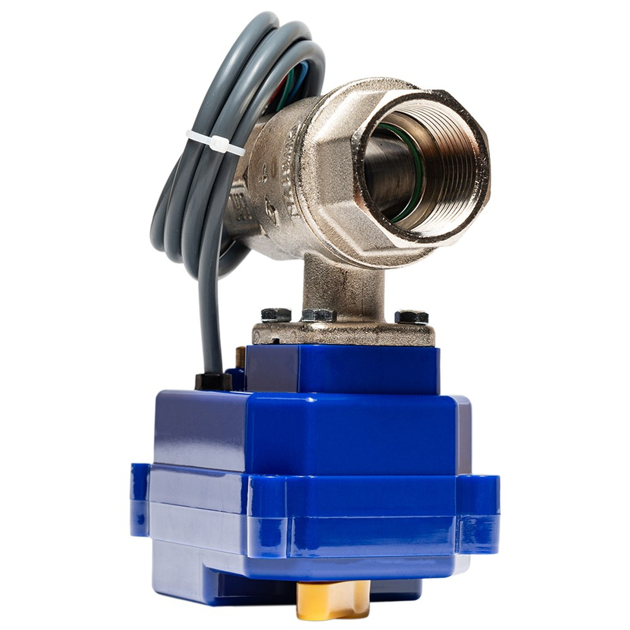 Новые проекты. Коммерческий фотограф в Москве Билуши Василиса