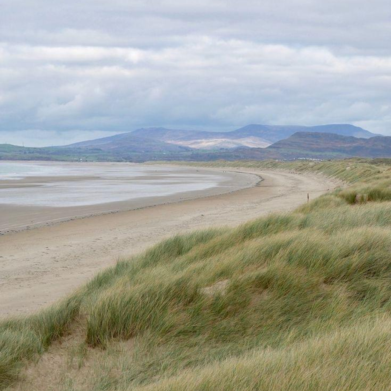 Калининград 1–6 июня. Семейный фотограф, фотосессия беременности в Новосибирске Кристина Киб