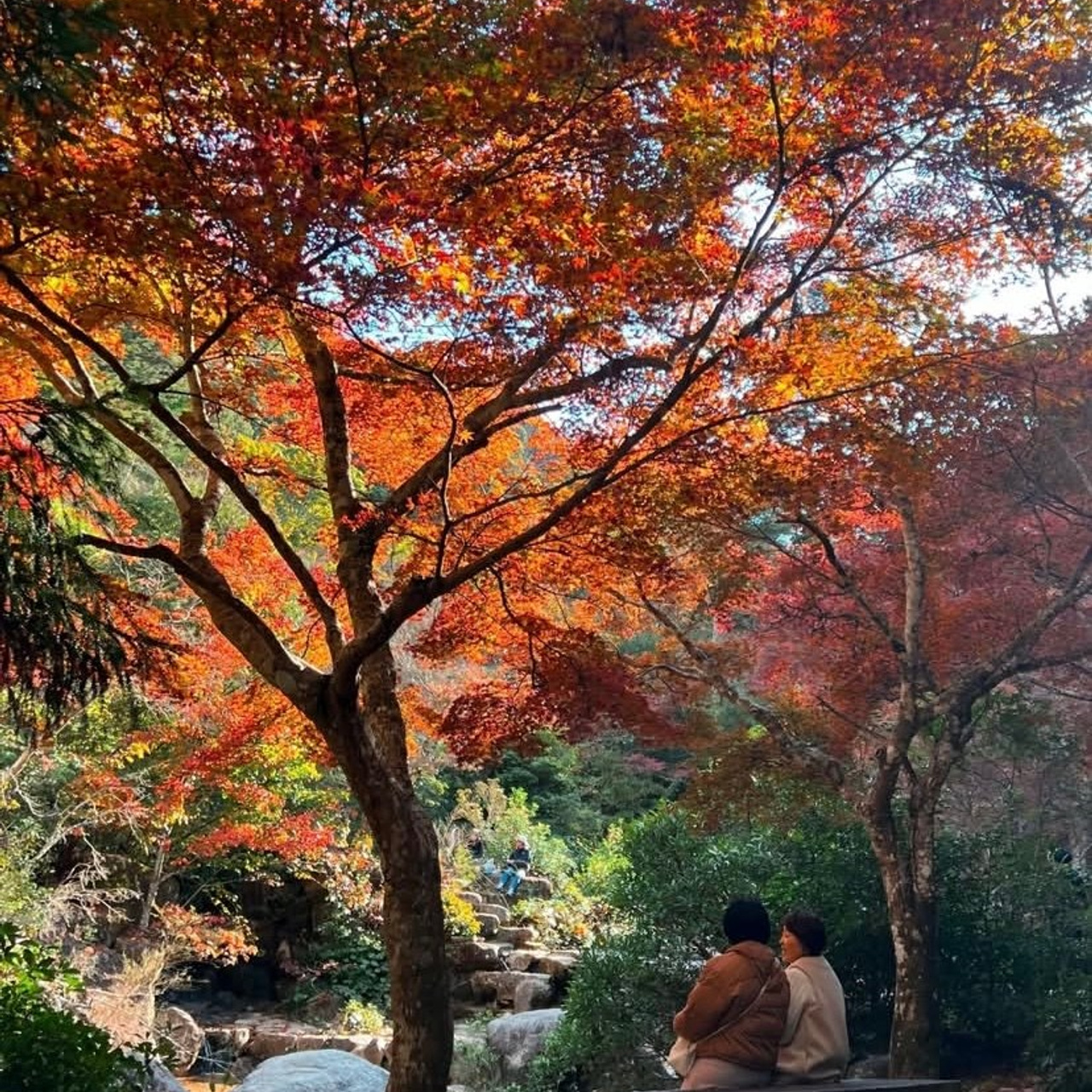 ЯПОНИЯ. Семейный фотограф, фотосессия беременности в Новосибирске Кристина Киб