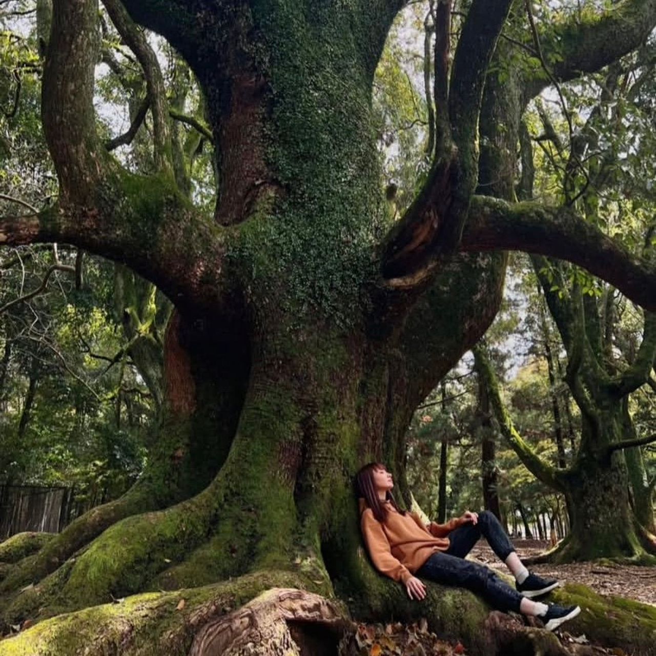 ЯПОНИЯ. Семейный фотограф, фотосессия беременности в Новосибирске Кристина Киб
