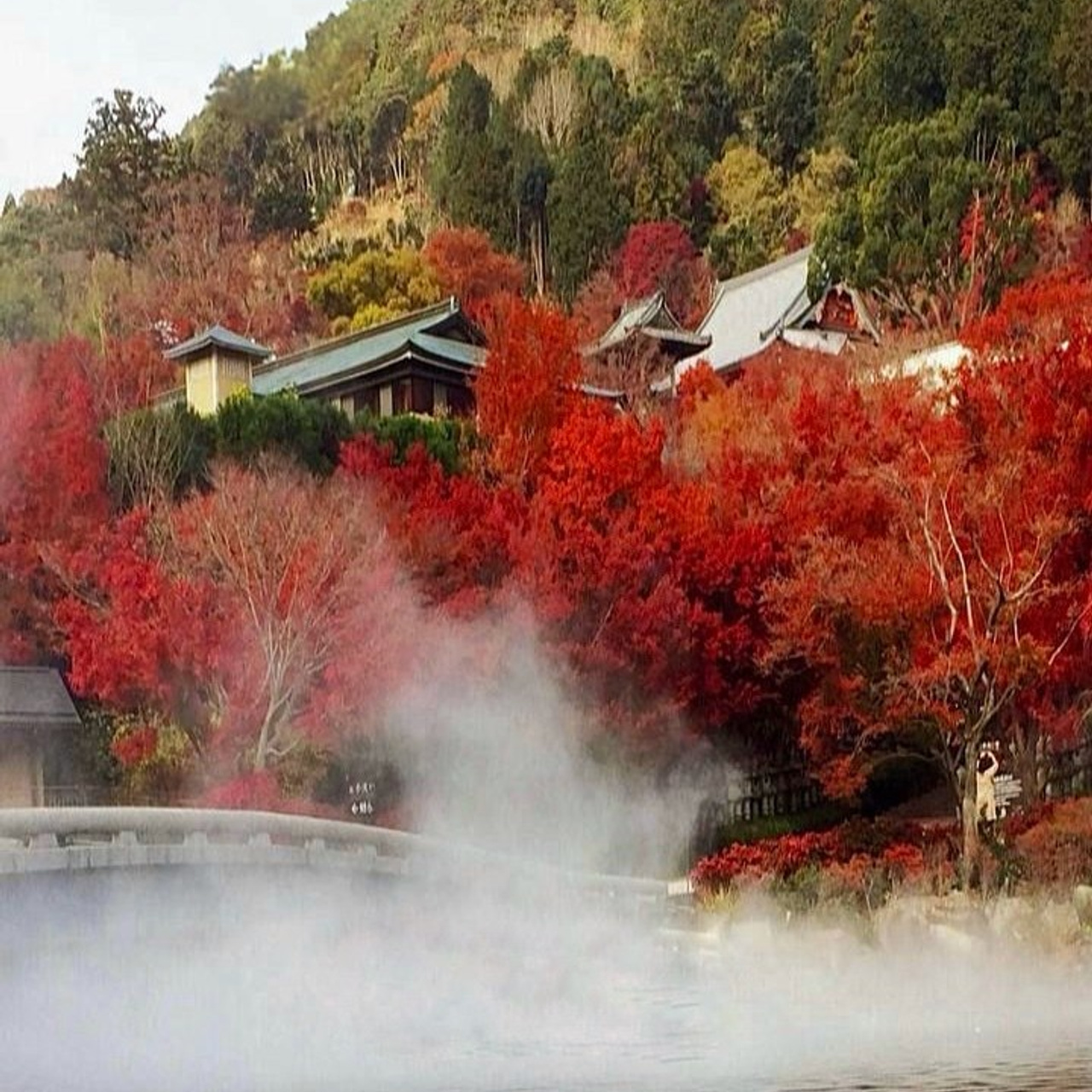 ЯПОНИЯ. Семейный фотограф, фотосессия беременности в Новосибирске Кристина Киб