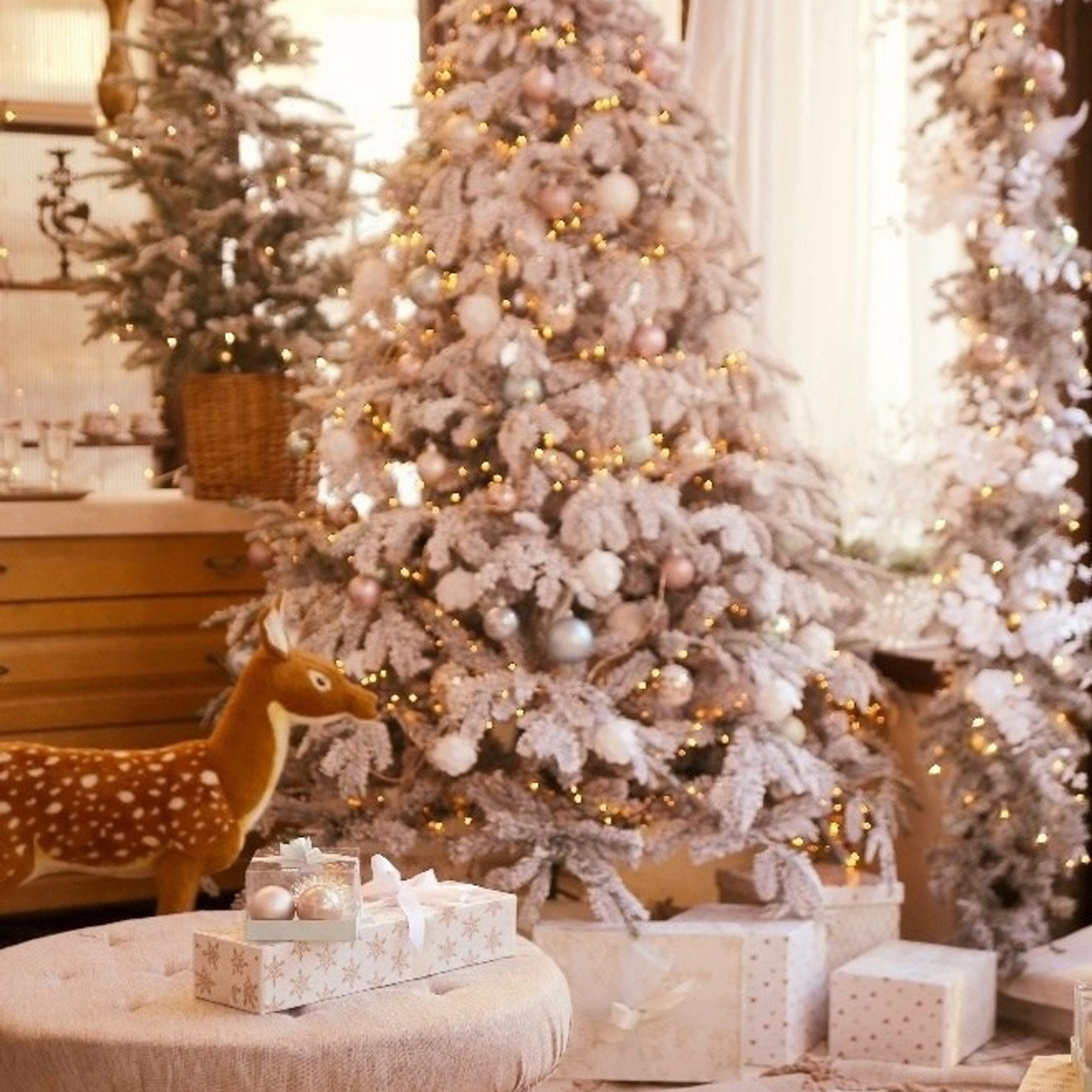 Фотостудия Fatatoom, Зимний сад. Женский и семейный фотограф в Тюмени Пашнина Ольга