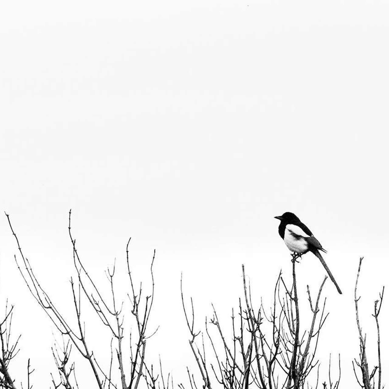 Курс в записи. Онлайн фотошкола просто о фото, фотограф, психолог фототерапия москва сочи анна ивкина