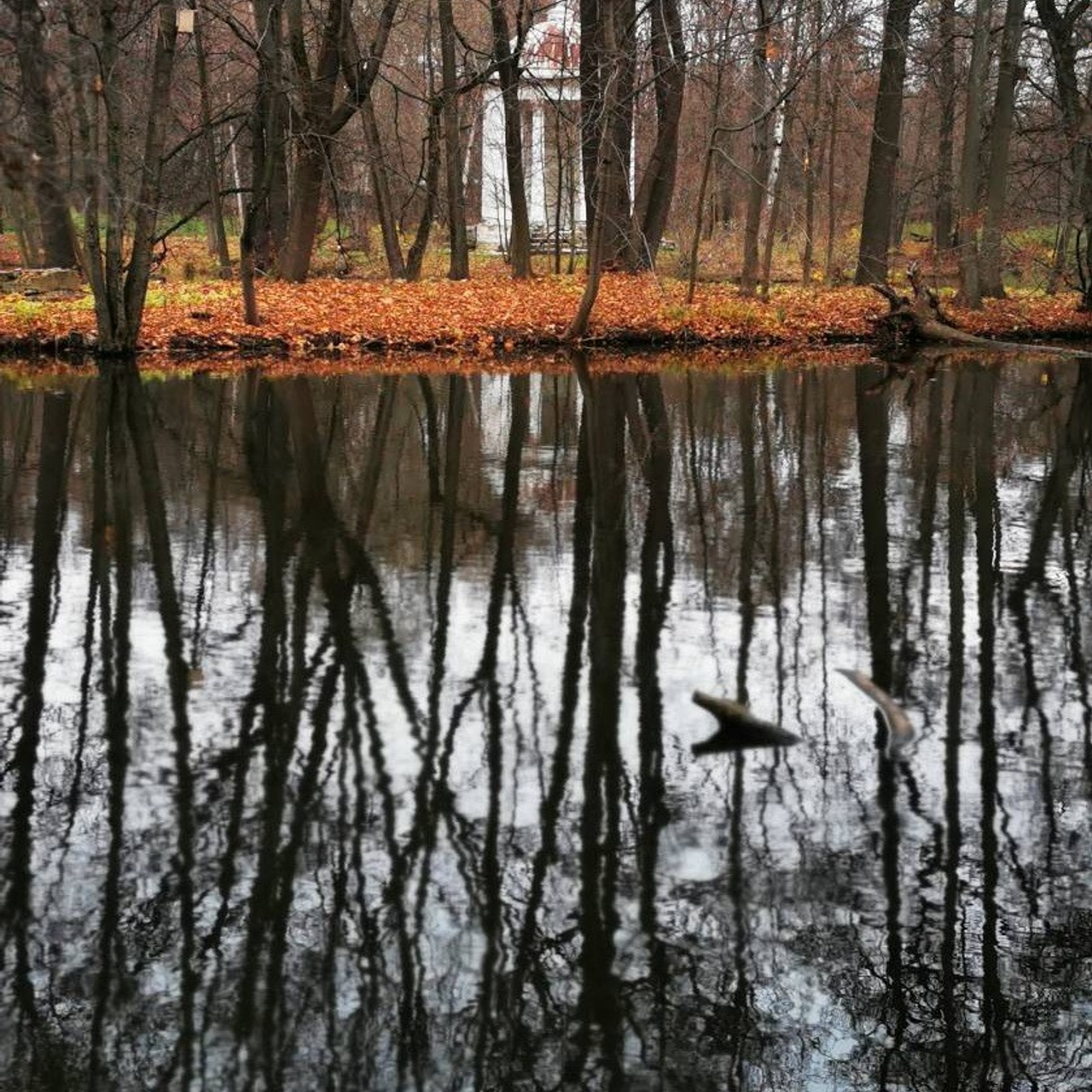 Быково осенью, ротонда