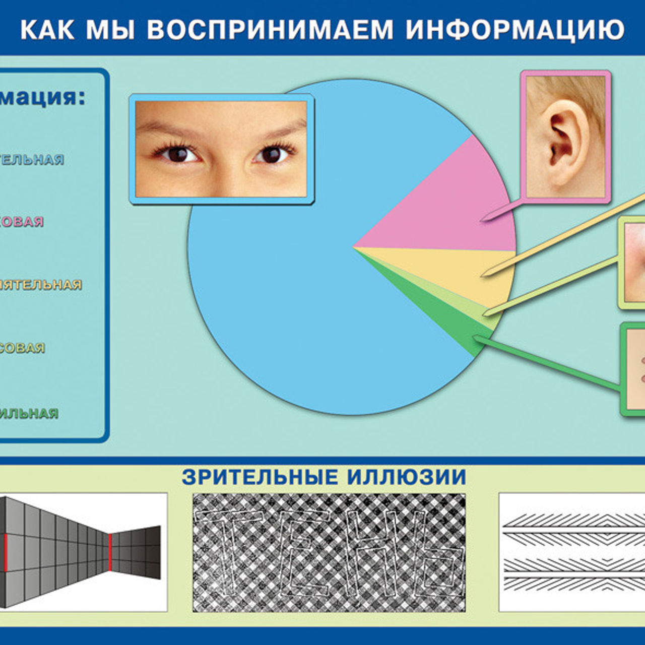 Кабинет информатики. Зойкин Максим Валерьевич