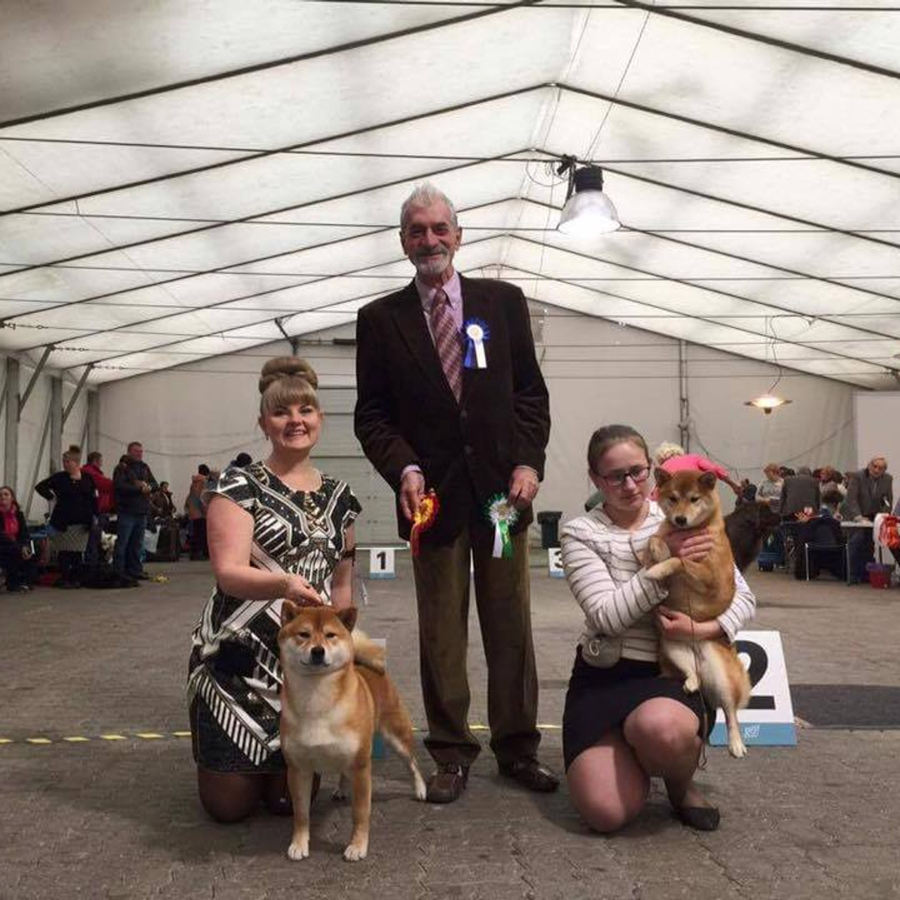 Dog show 2016. SHIOMARU Питомник сиба и акита-ину