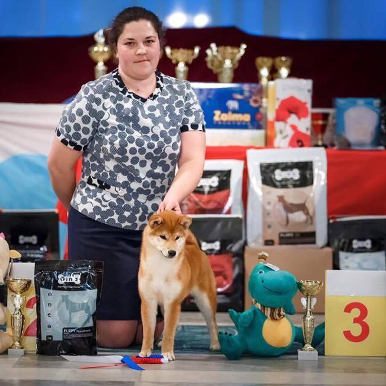 Dog show 2017. SHIOMARU Питомник сиба и акита-ину