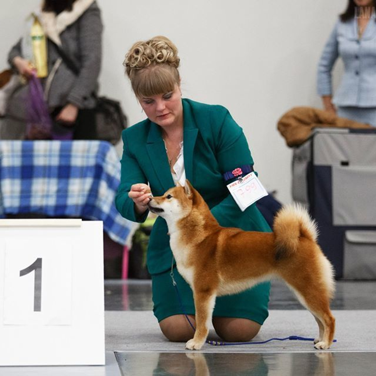 ПОМЕТ A. SHIOMARU Питомник сиба и акита-ину