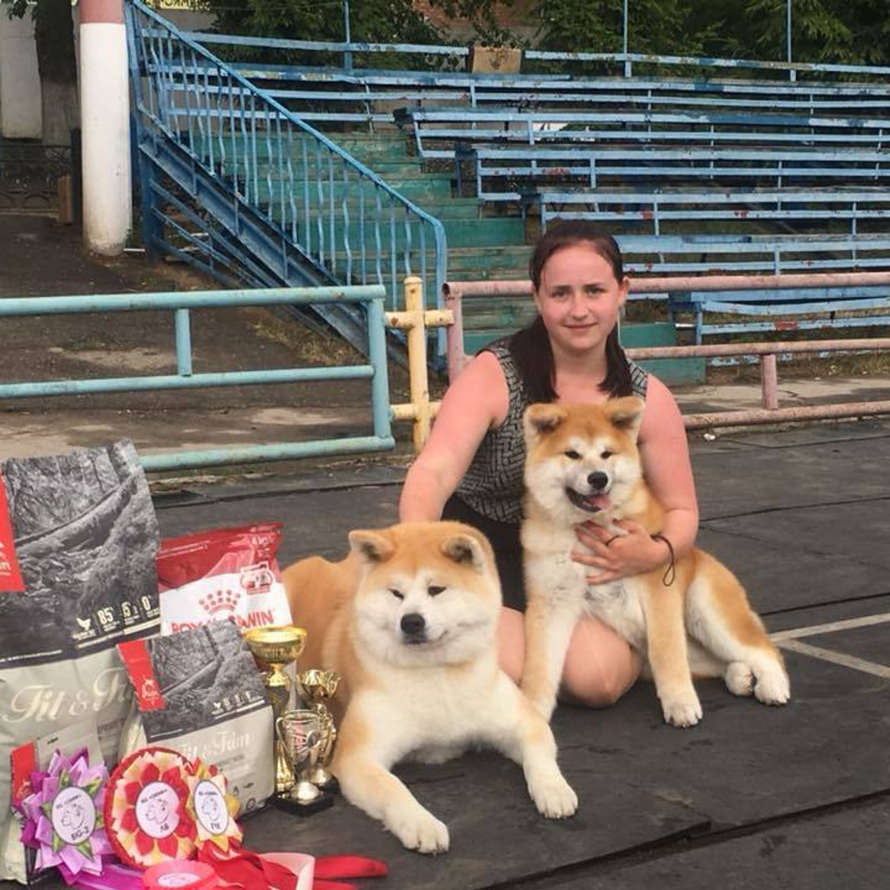 Dog show 2018. SHIOMARU Питомник сиба и акита-ину