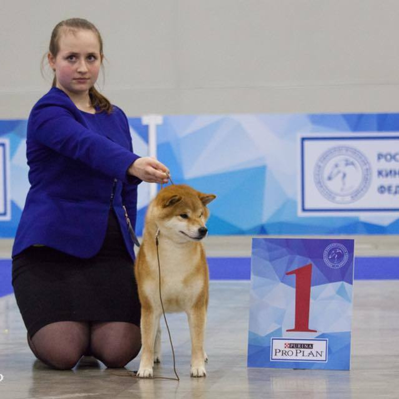Dog show 2017. SHIOMARU Питомник сиба и акита-ину