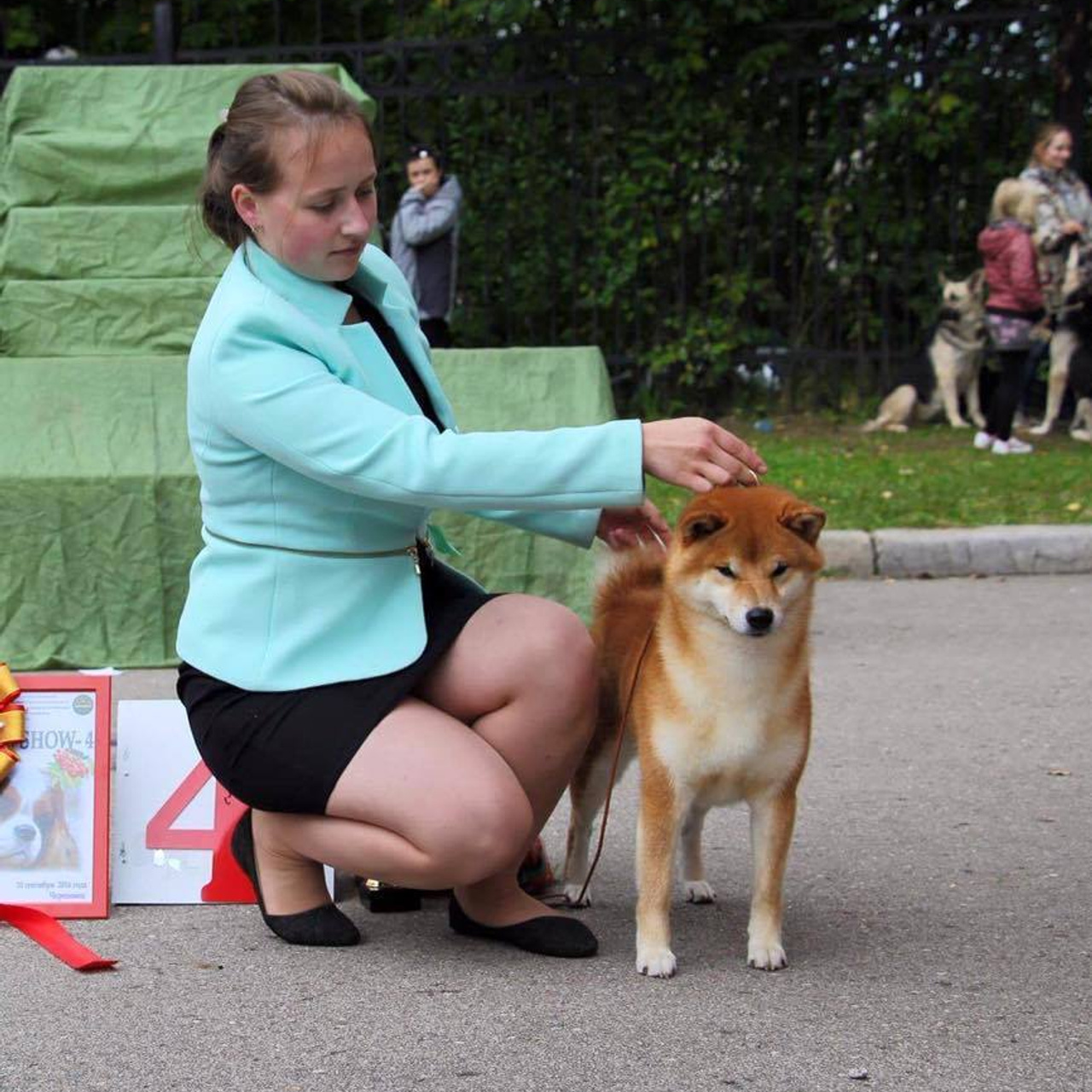 Dog show 2016. SHIOMARU Питомник сиба и акита-ину