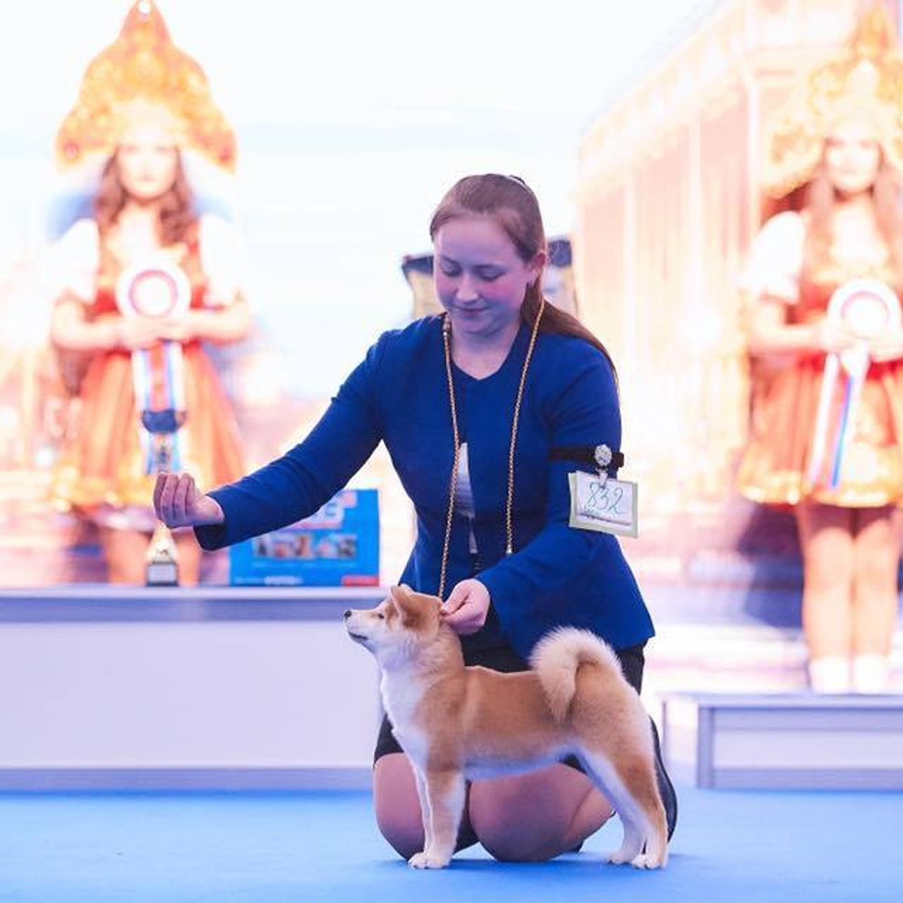 Dog show 2018. SHIOMARU Питомник сиба и акита-ину