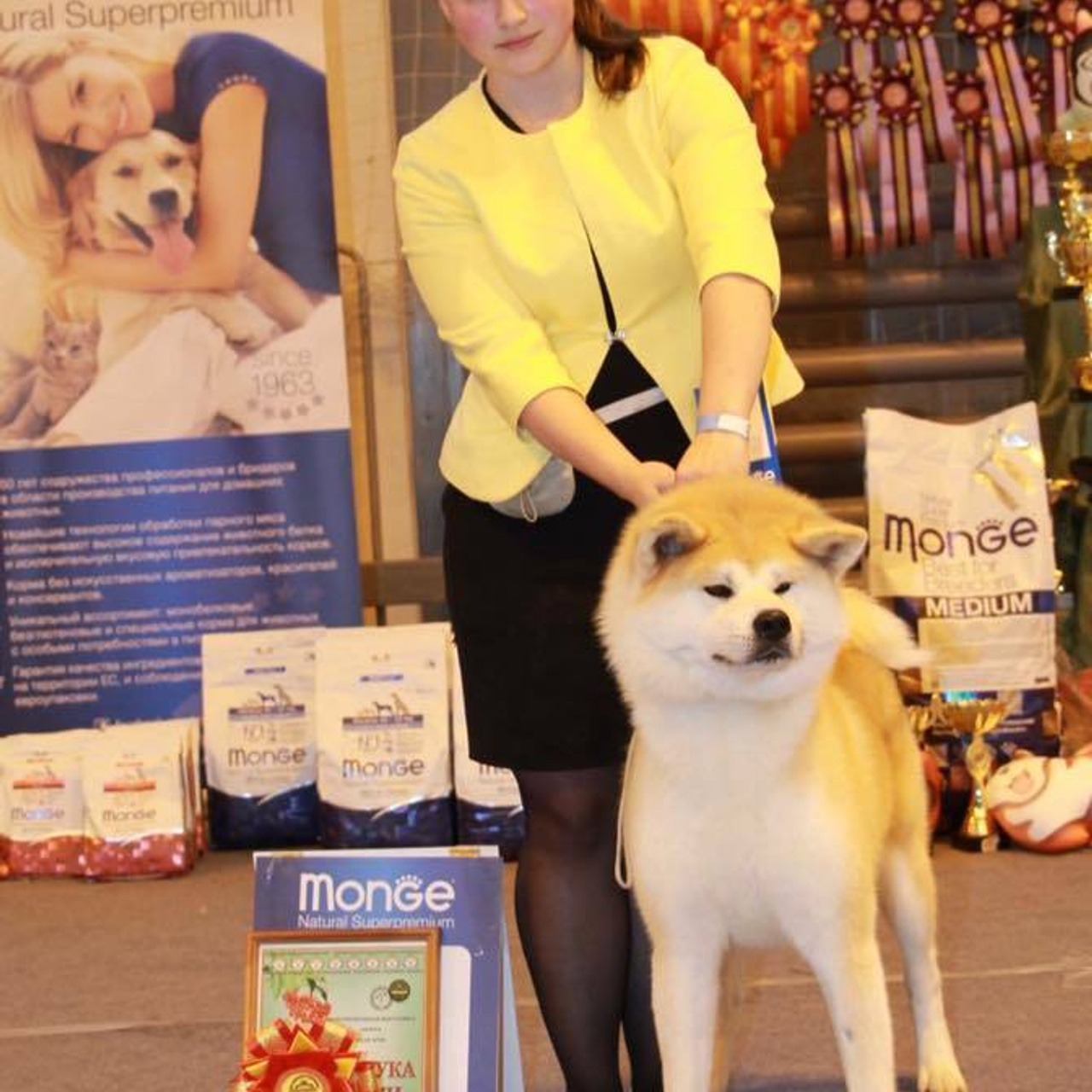 Dog show 2017. SHIOMARU Питомник сиба и акита-ину