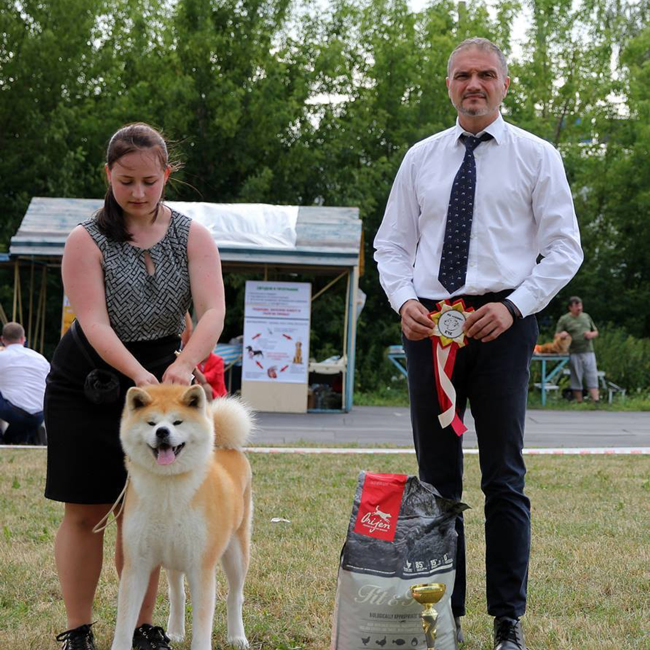 Dog show 2018. SHIOMARU Питомник сиба и акита-ину