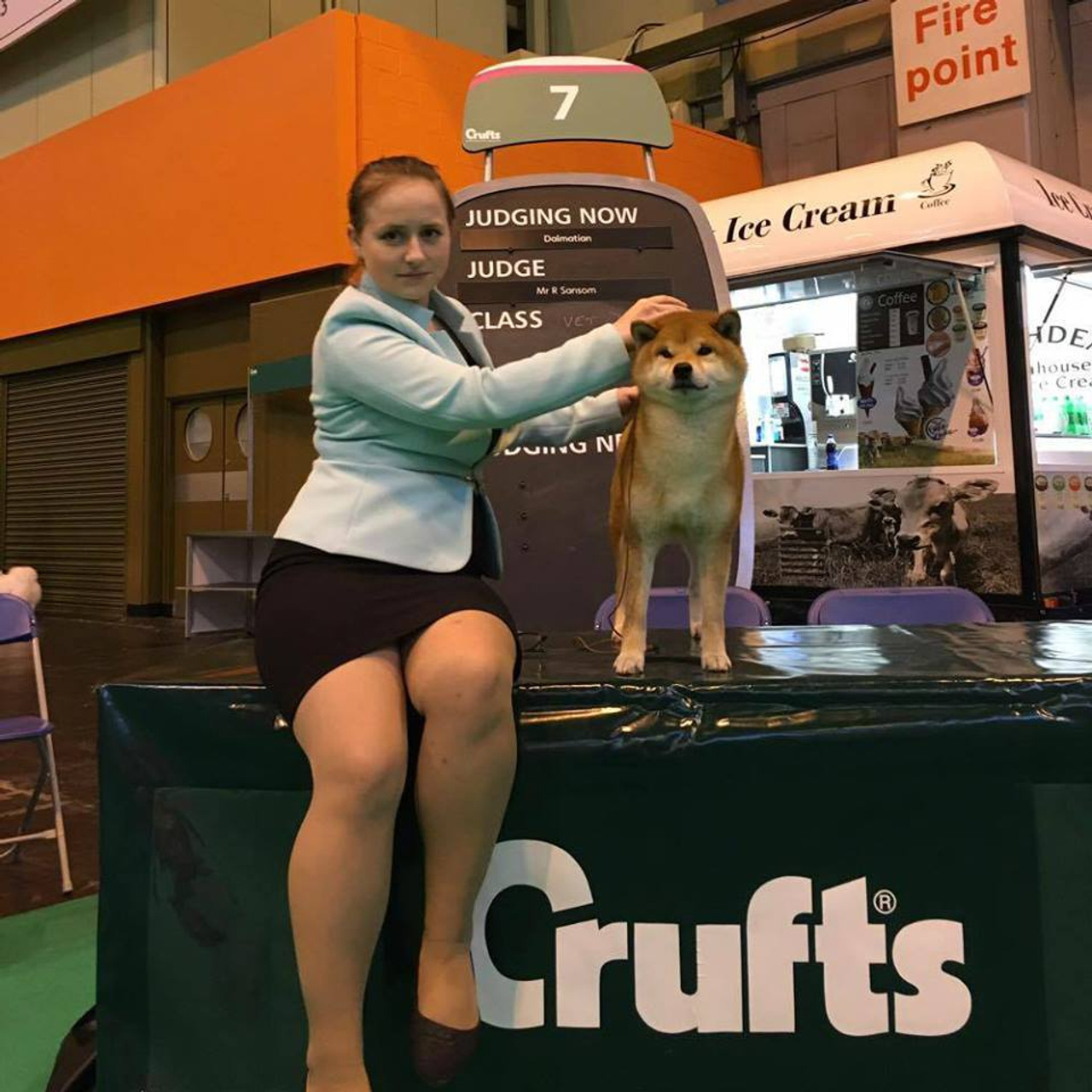 Dog show 2017. SHIOMARU Питомник сиба и акита-ину