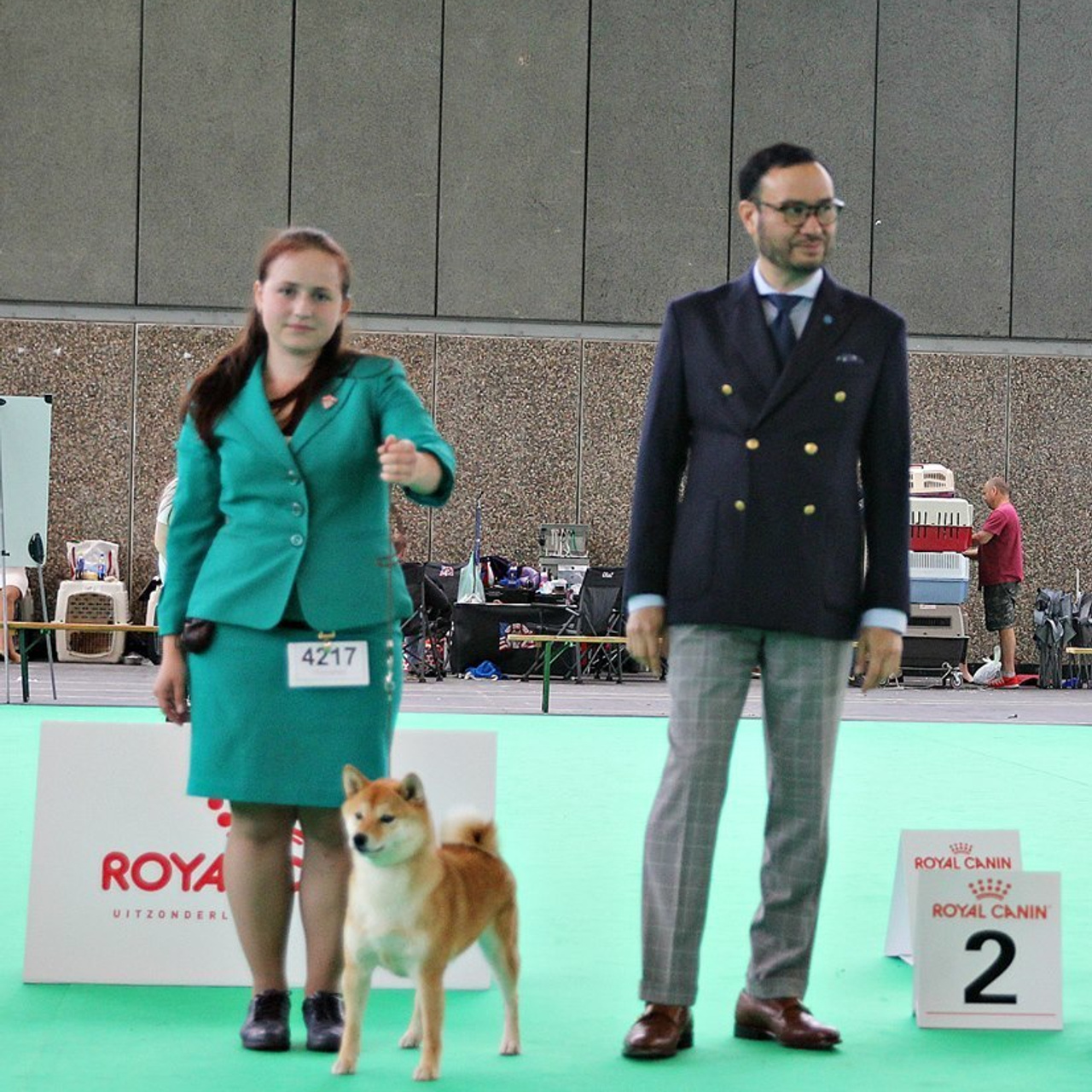 Dog show 2018. SHIOMARU Питомник сиба и акита-ину