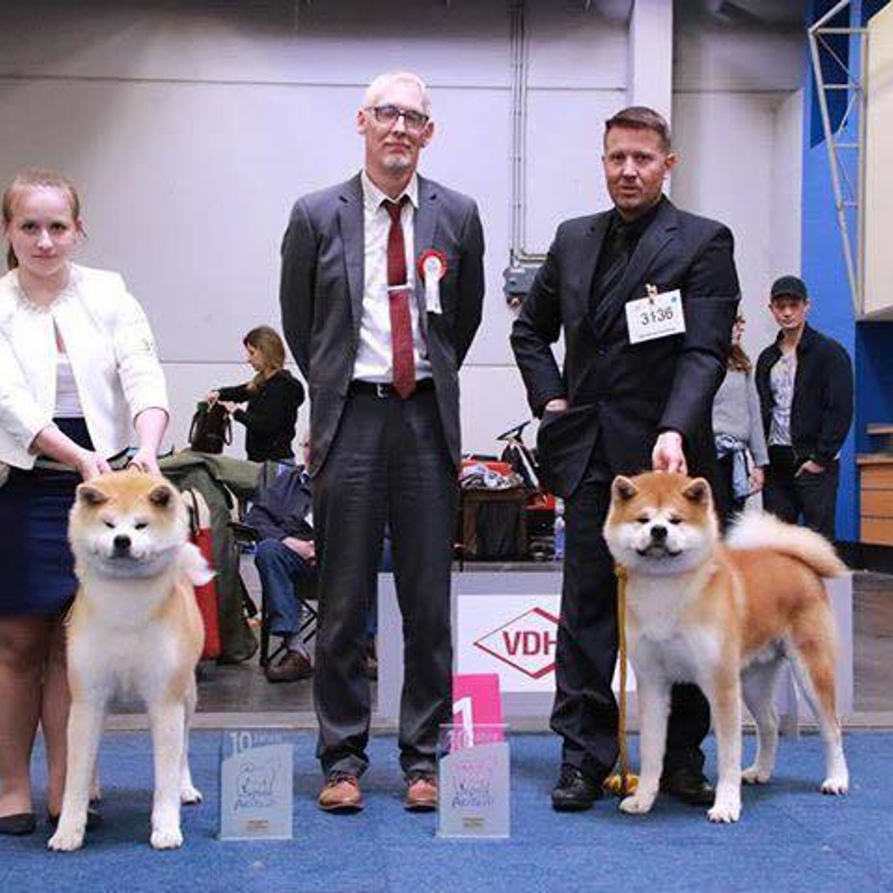 Dog show 2017. SHIOMARU Питомник сиба и акита-ину