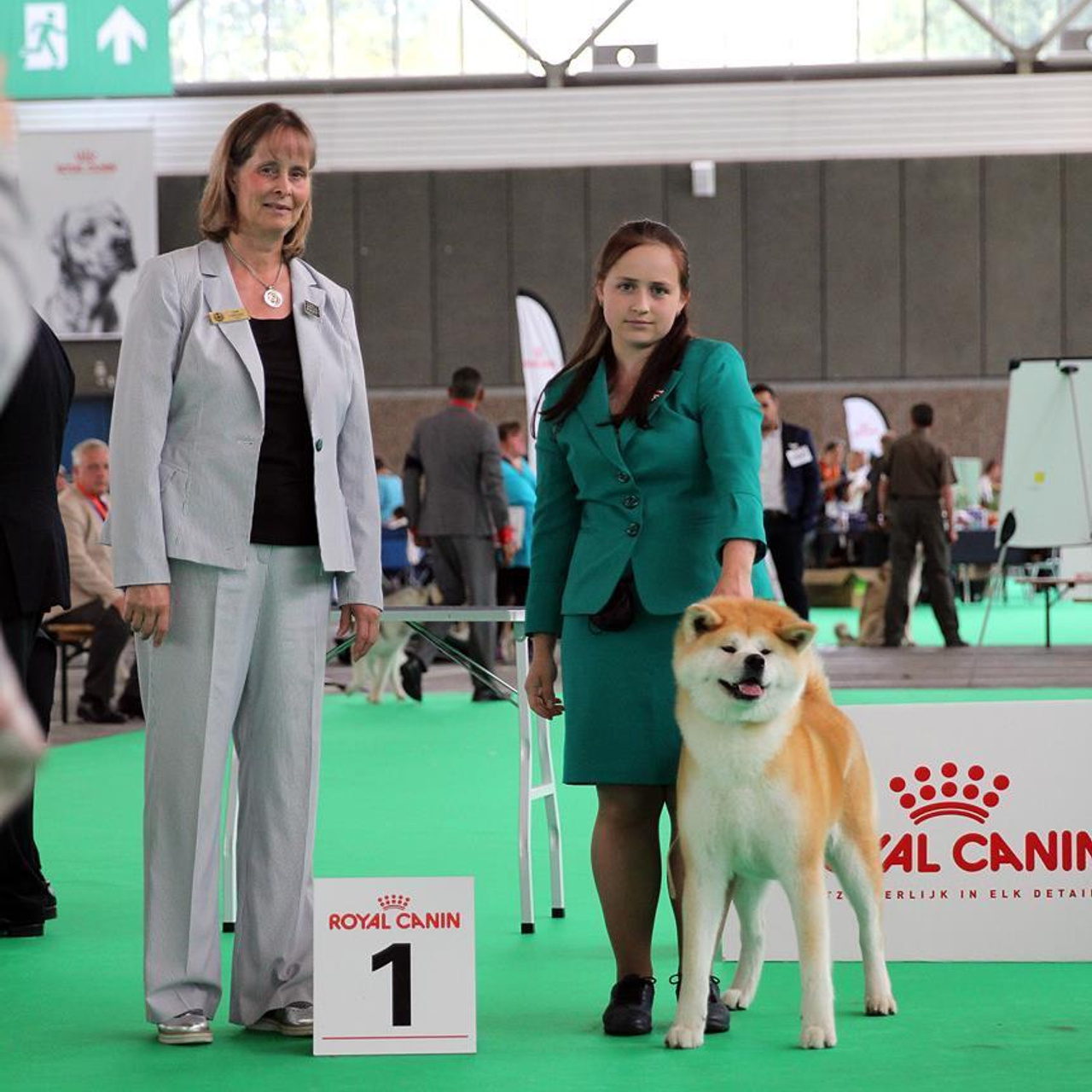 Dog show 2018. SHIOMARU Питомник сиба и акита-ину