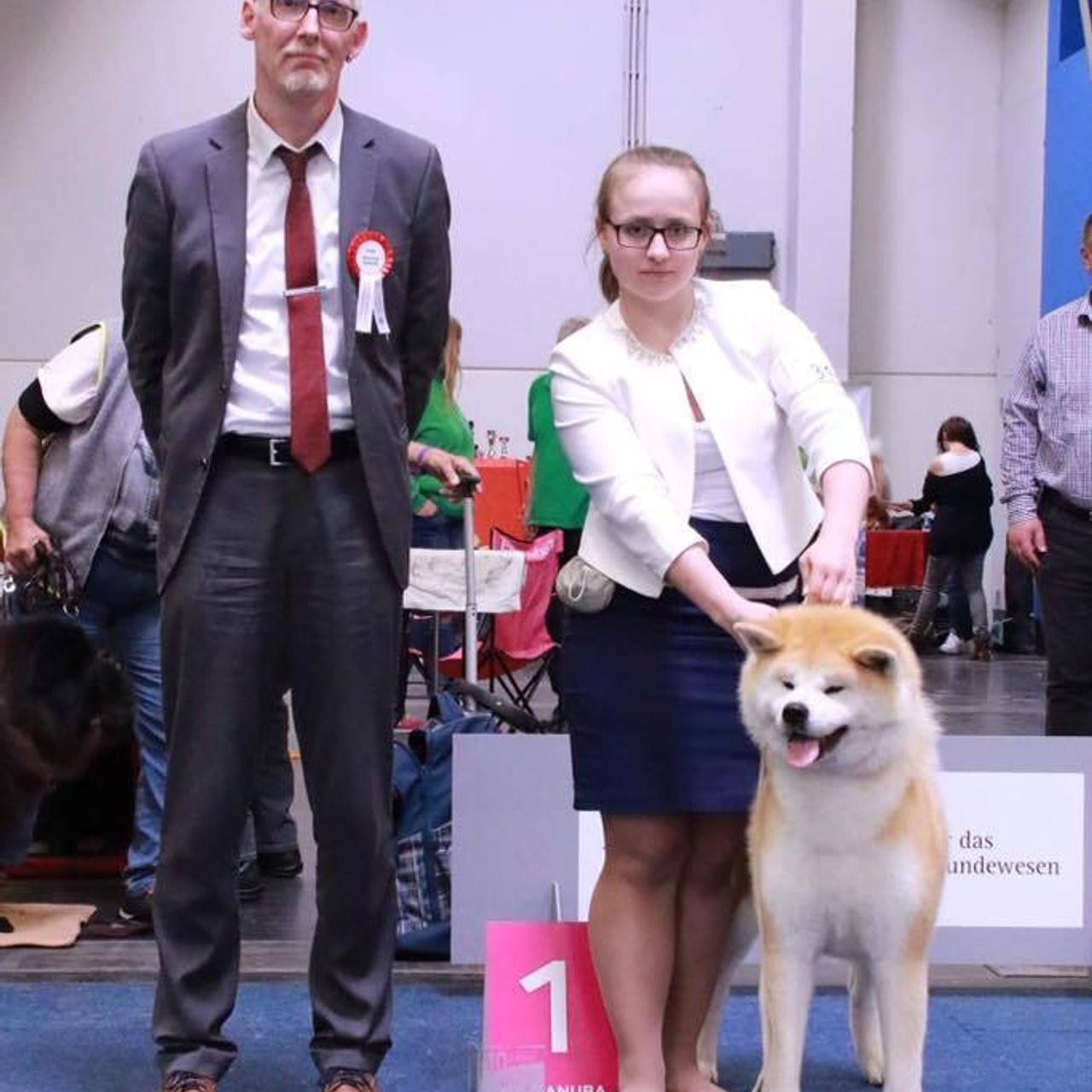 Dog show 2017. SHIOMARU Питомник сиба и акита-ину