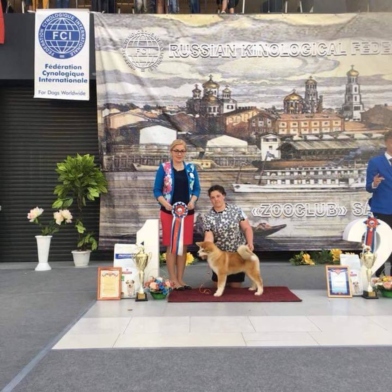 Выпускники питомника. SHIOMARU Питомник сиба и акита-ину