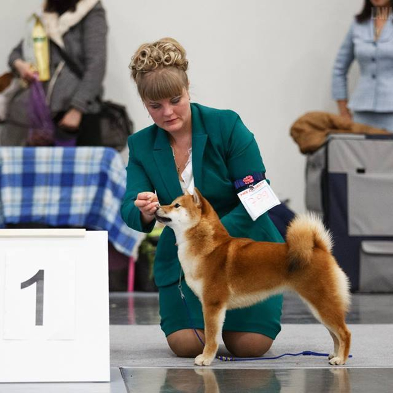 Выпускники питомника. SHIOMARU Питомник сиба и акита-ину