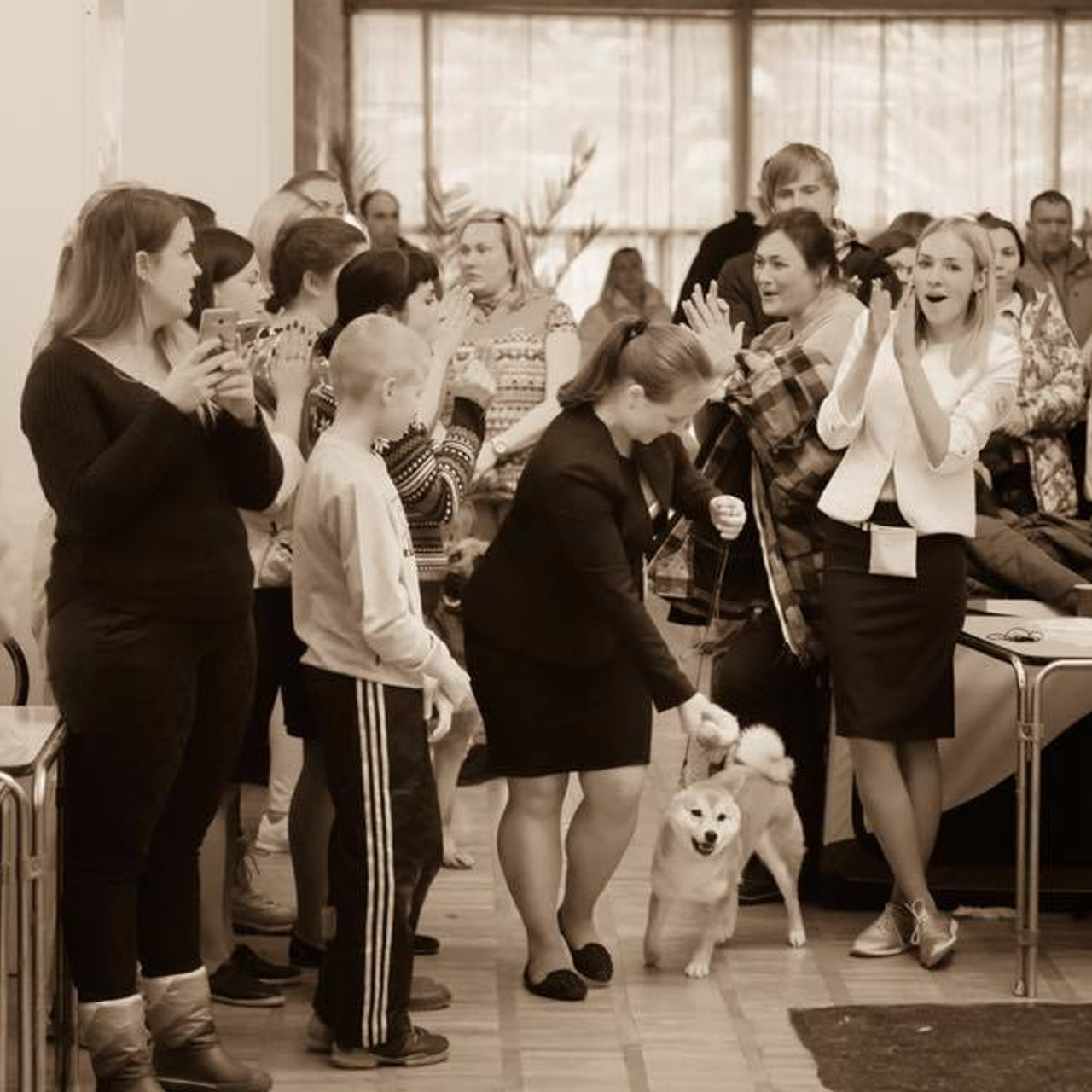 Dog show 2017. SHIOMARU Питомник сиба и акита-ину