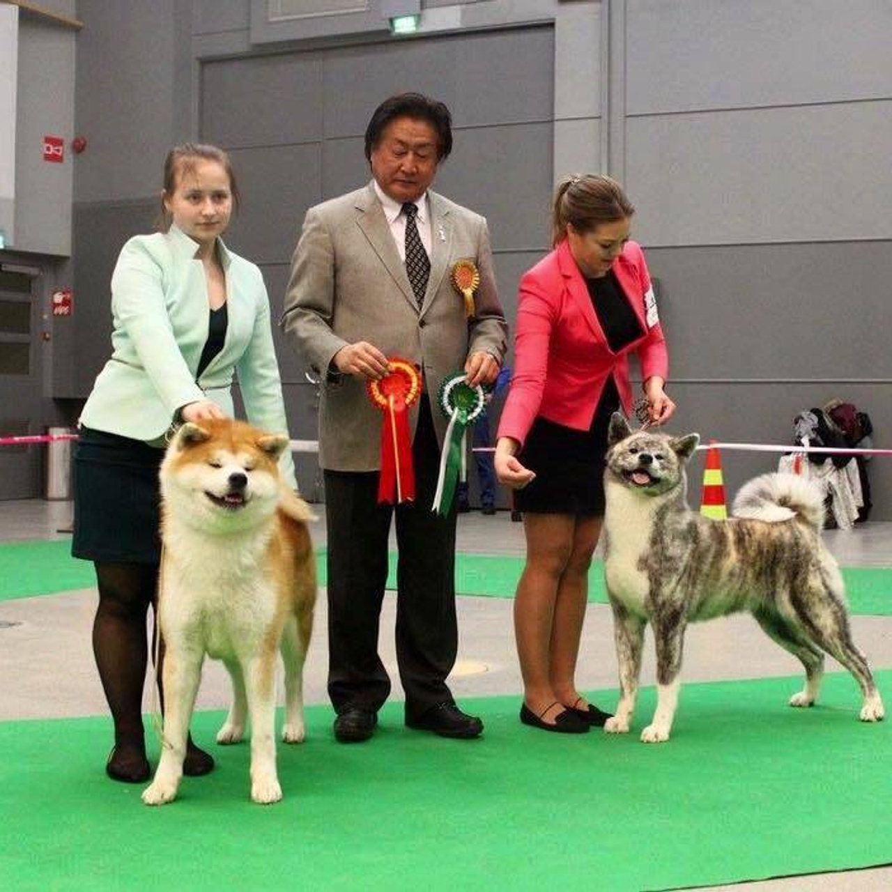 Dog show 2017. SHIOMARU Питомник сиба и акита-ину