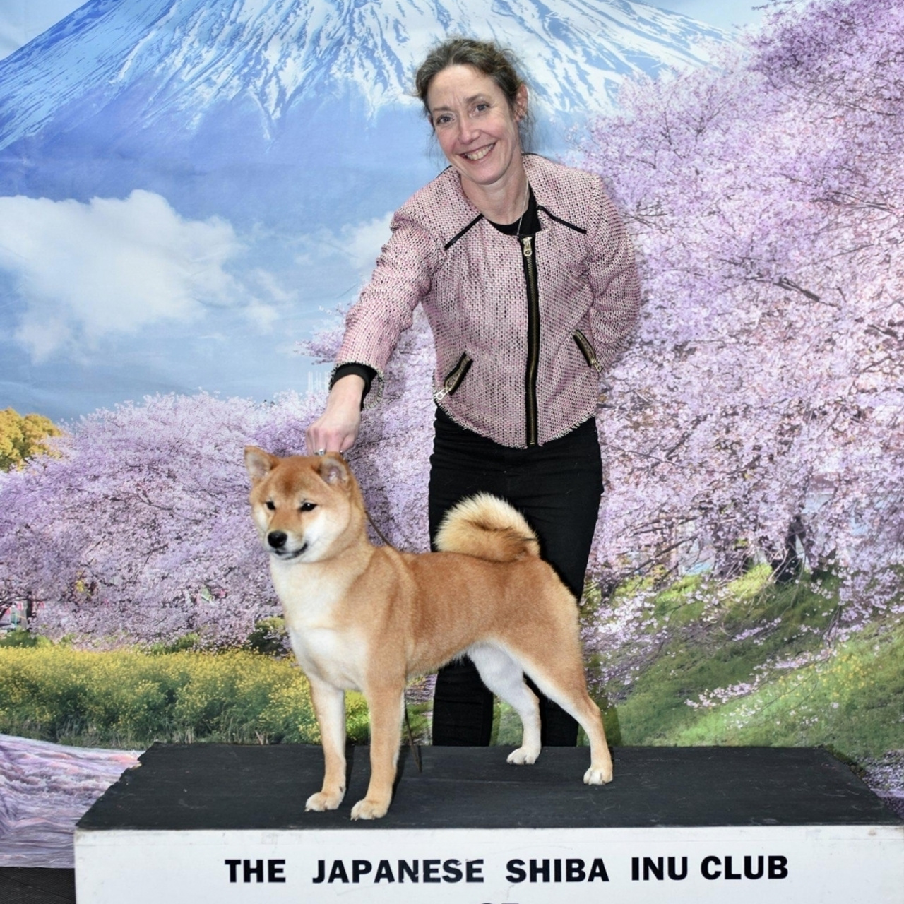 Выпускники питомника. SHIOMARU Питомник сиба и акита-ину