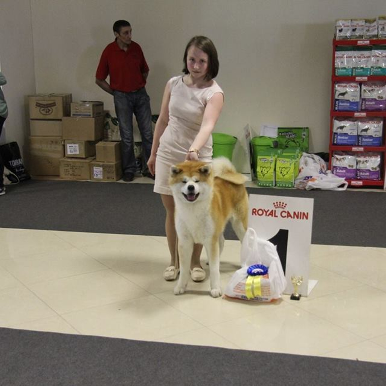 Dog show 2016. SHIOMARU Питомник сиба и акита-ину