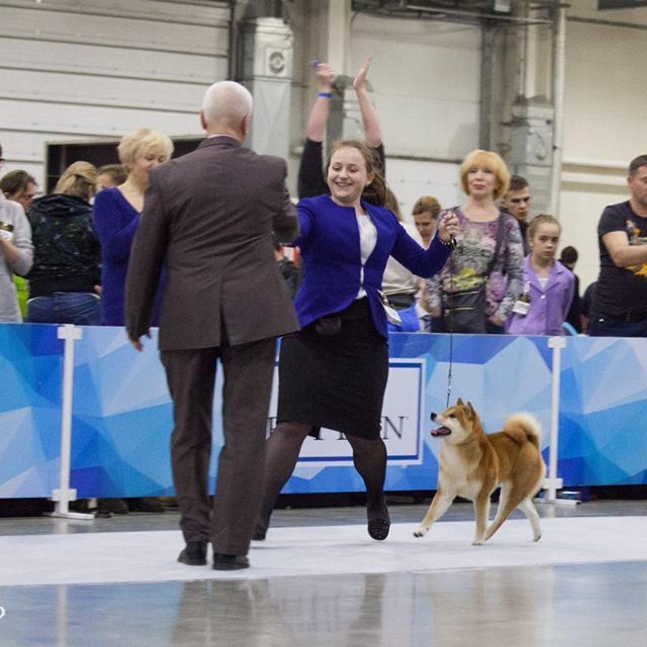 Dog show 2017. SHIOMARU Питомник сиба и акита-ину