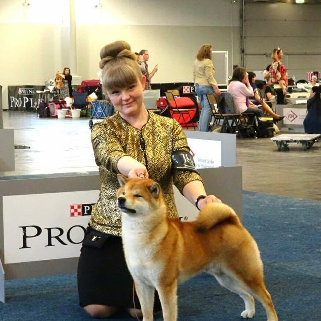 Dog show 2016. SHIOMARU Питомник сиба и акита-ину