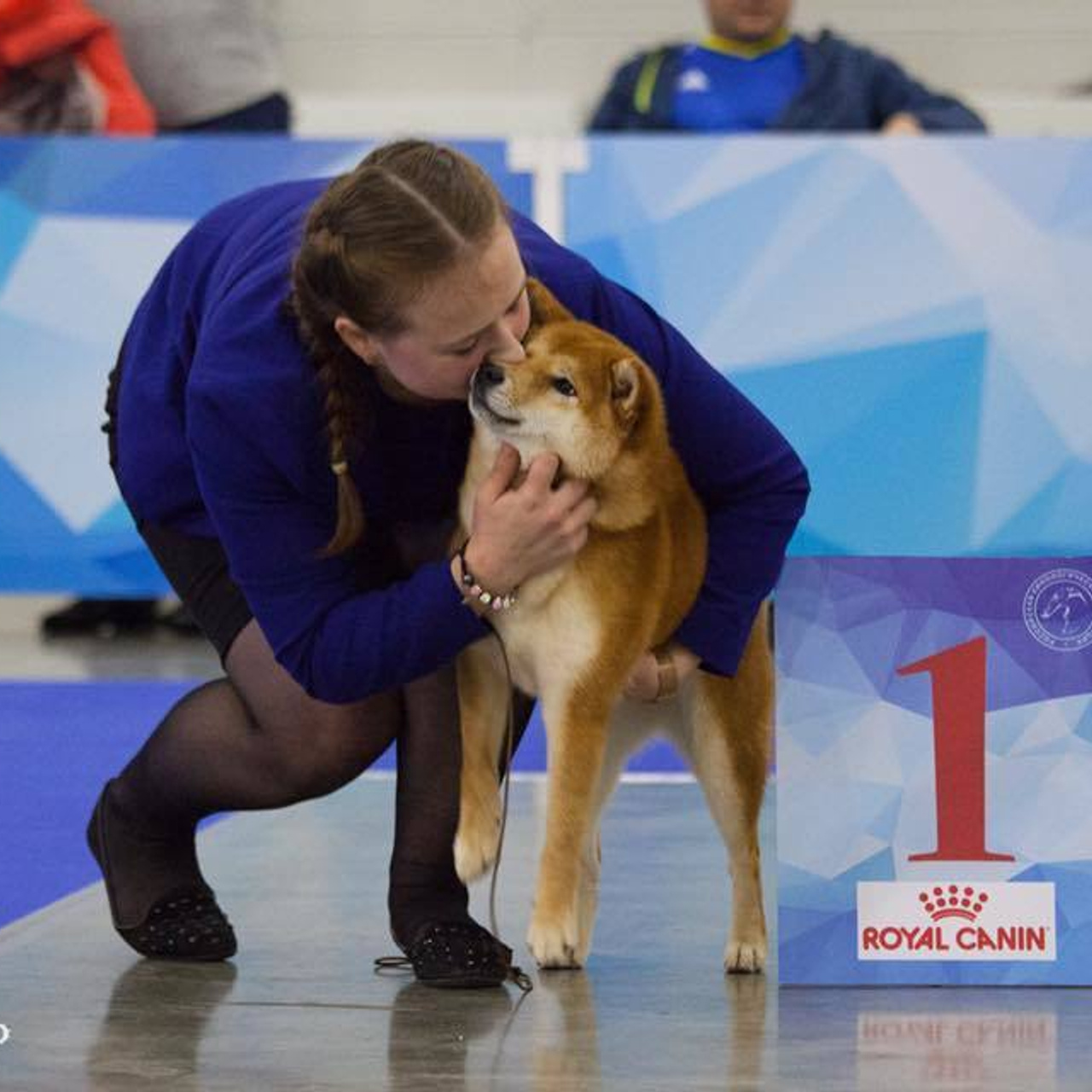 Dog show 2017. SHIOMARU Питомник сиба и акита-ину