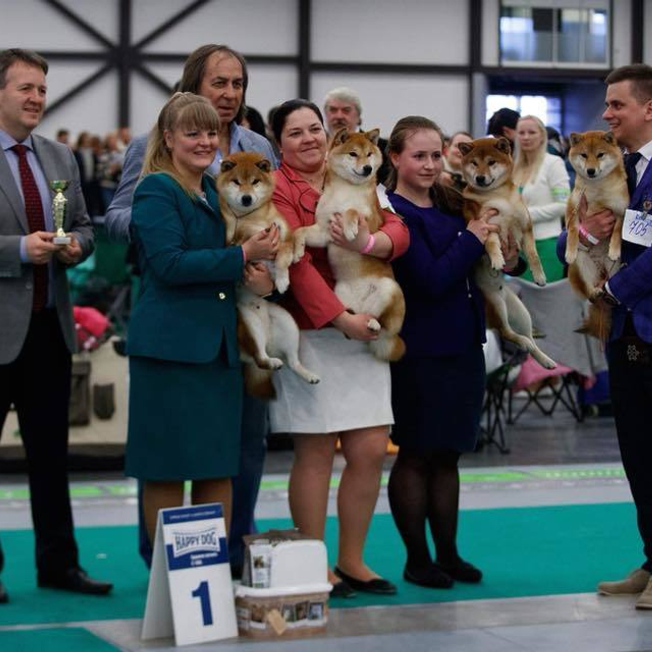 Dog show 2018. SHIOMARU Питомник сиба и акита-ину