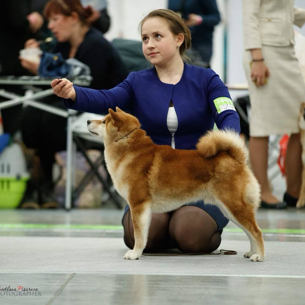 Dog show 2018. SHIOMARU Питомник сиба и акита-ину