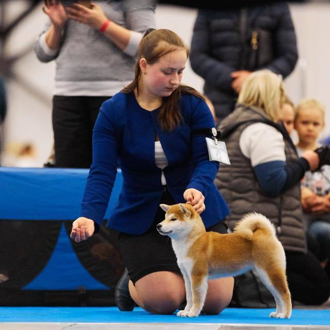 Dog show 2018. SHIOMARU Питомник сиба и акита-ину