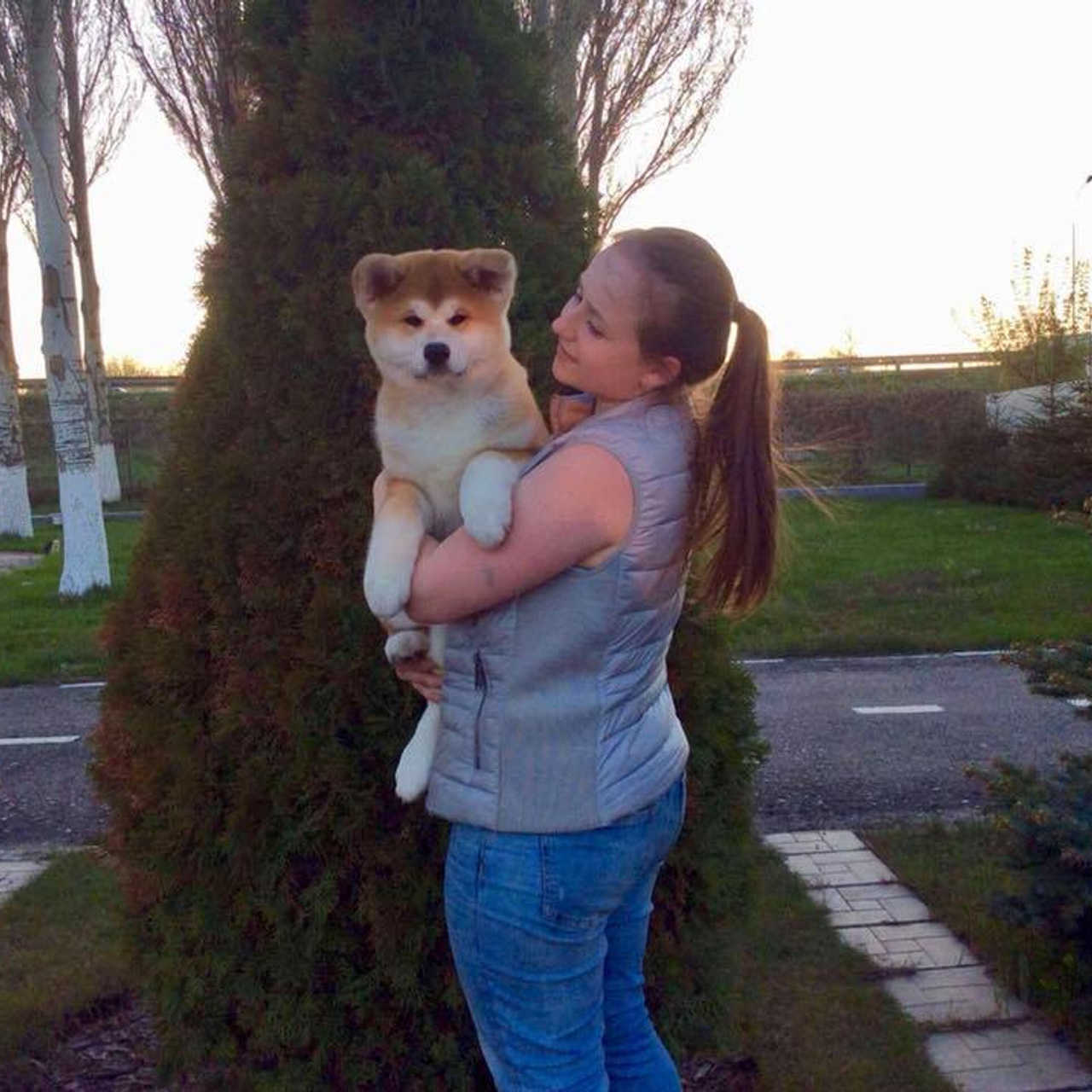 Выпускники питомника. SHIOMARU Питомник сиба и акита-ину