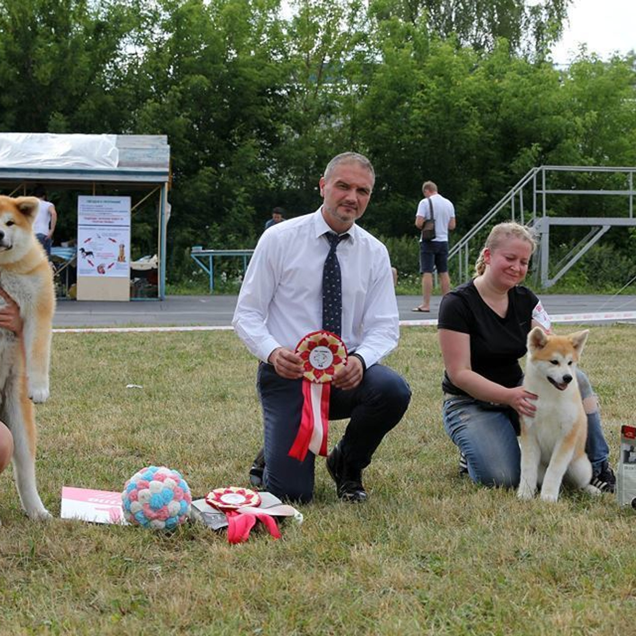Dog show 2018. SHIOMARU Питомник сиба и акита-ину