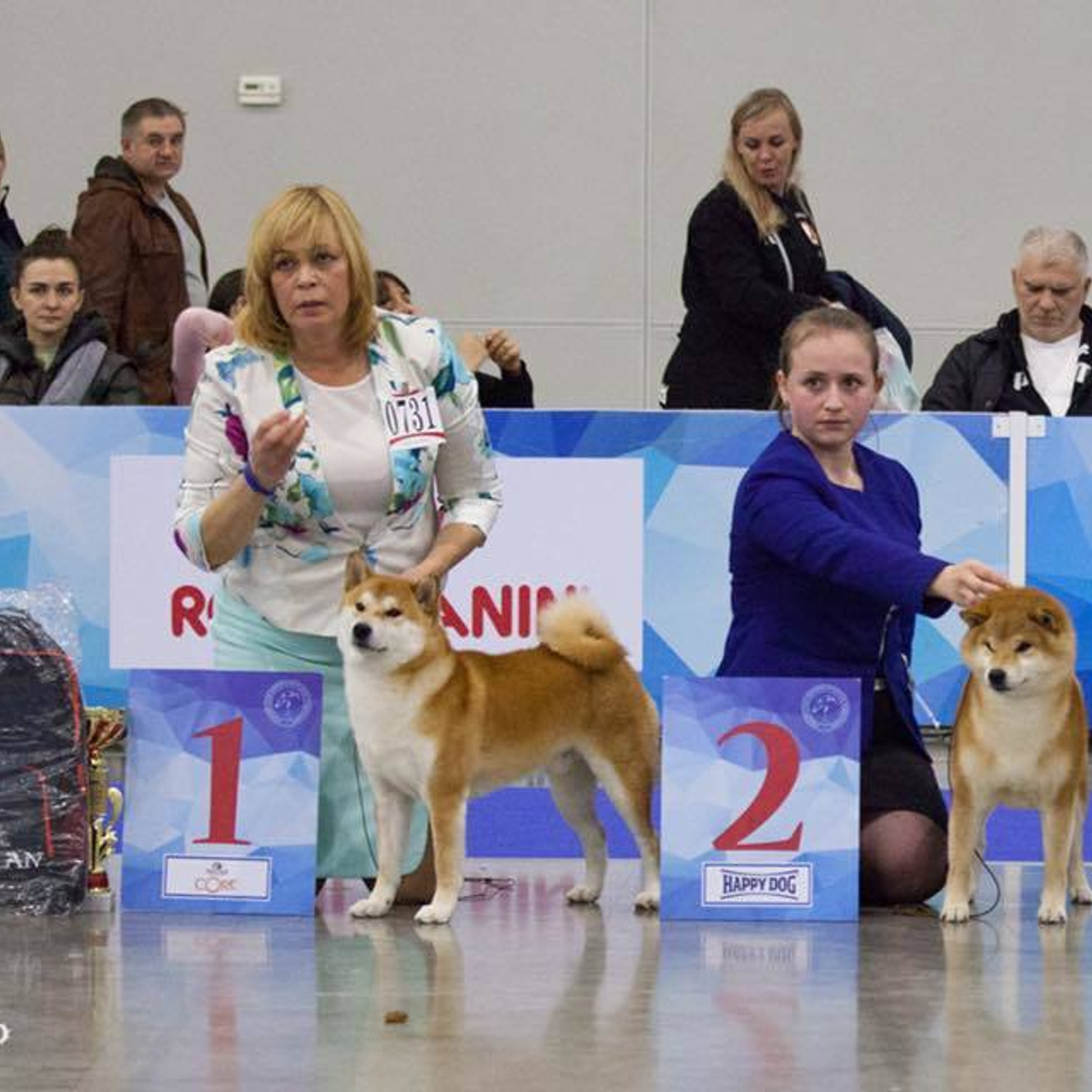 Dog show 2017. SHIOMARU Питомник сиба и акита-ину