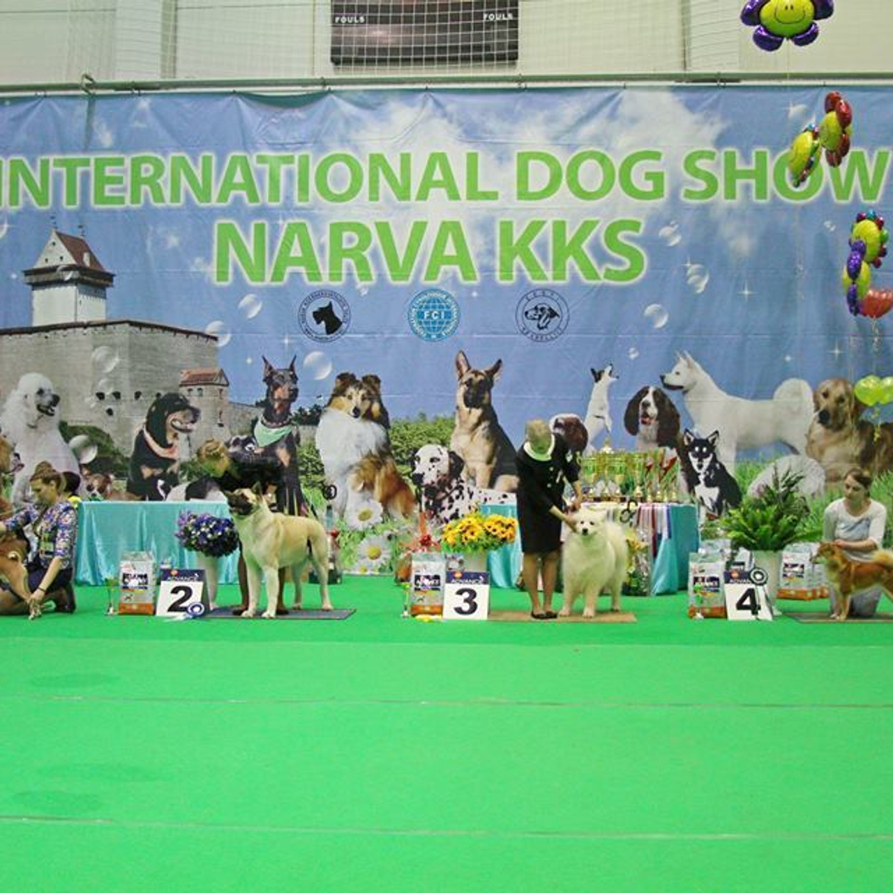 Выпускники питомника. SHIOMARU Питомник сиба и акита-ину