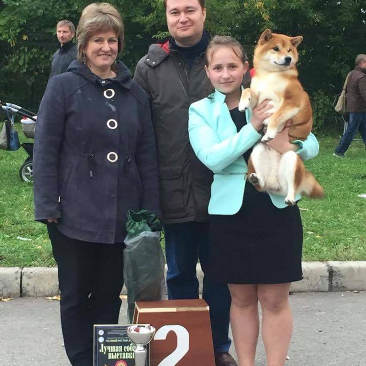 Dog show 2016. SHIOMARU Питомник сиба и акита-ину