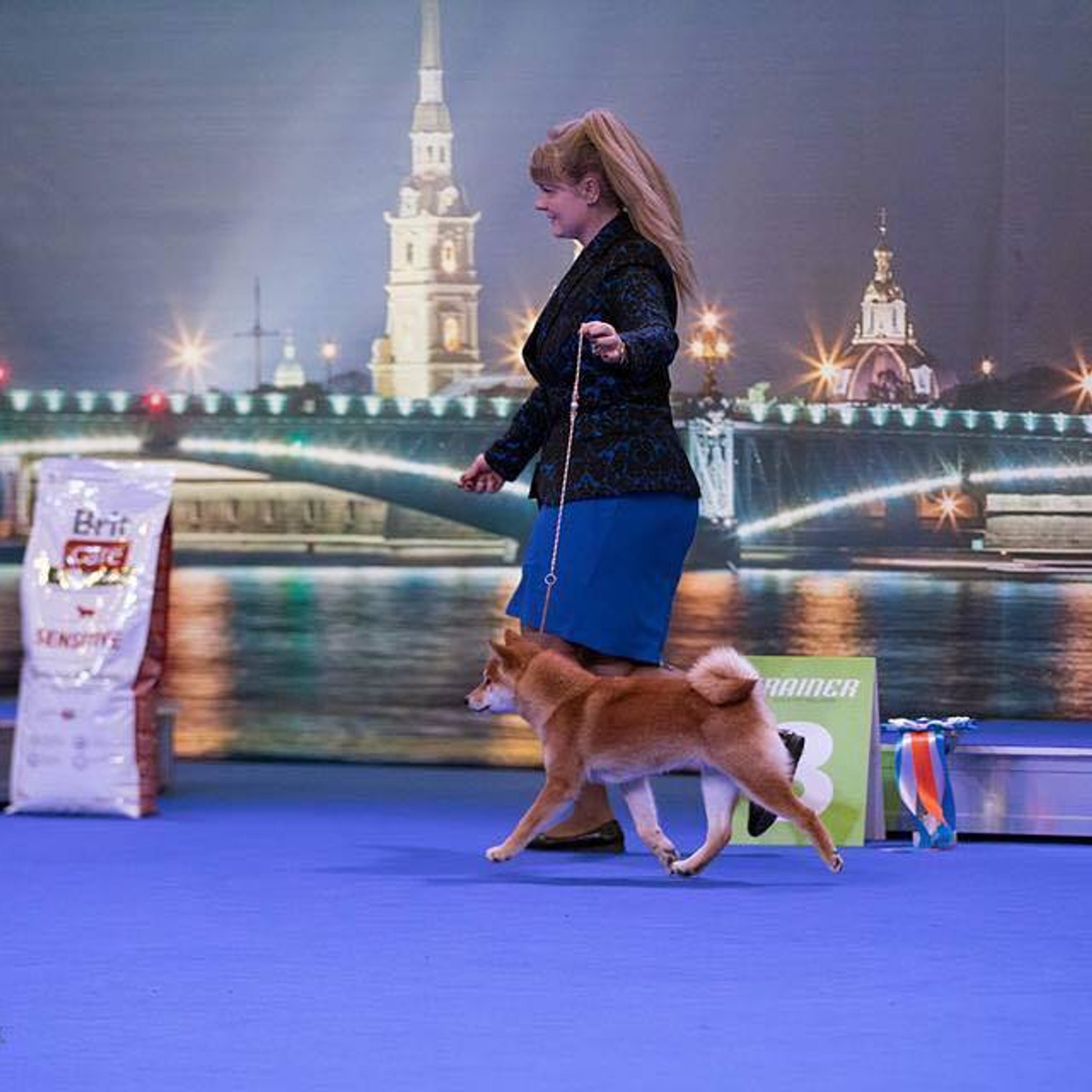 Выпускники питомника. SHIOMARU Питомник сиба и акита-ину