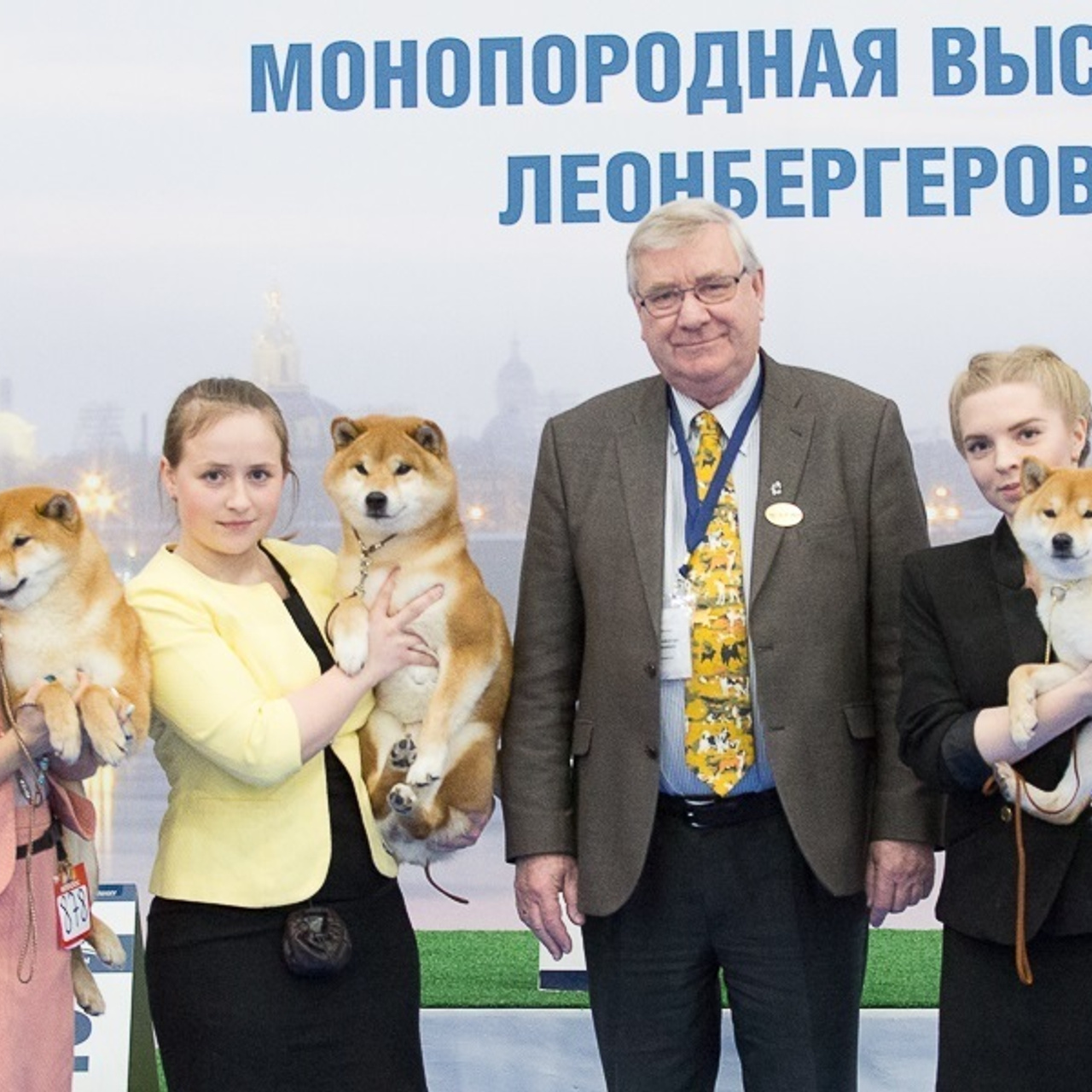 Dog show 2017. SHIOMARU Питомник сиба и акита-ину