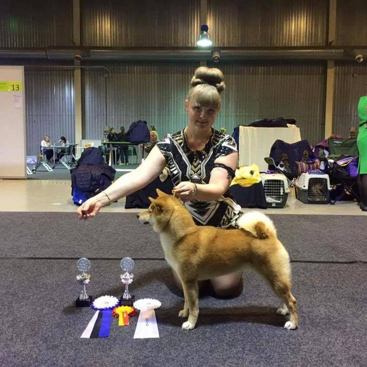 Dog show 2016. SHIOMARU Питомник сиба и акита-ину