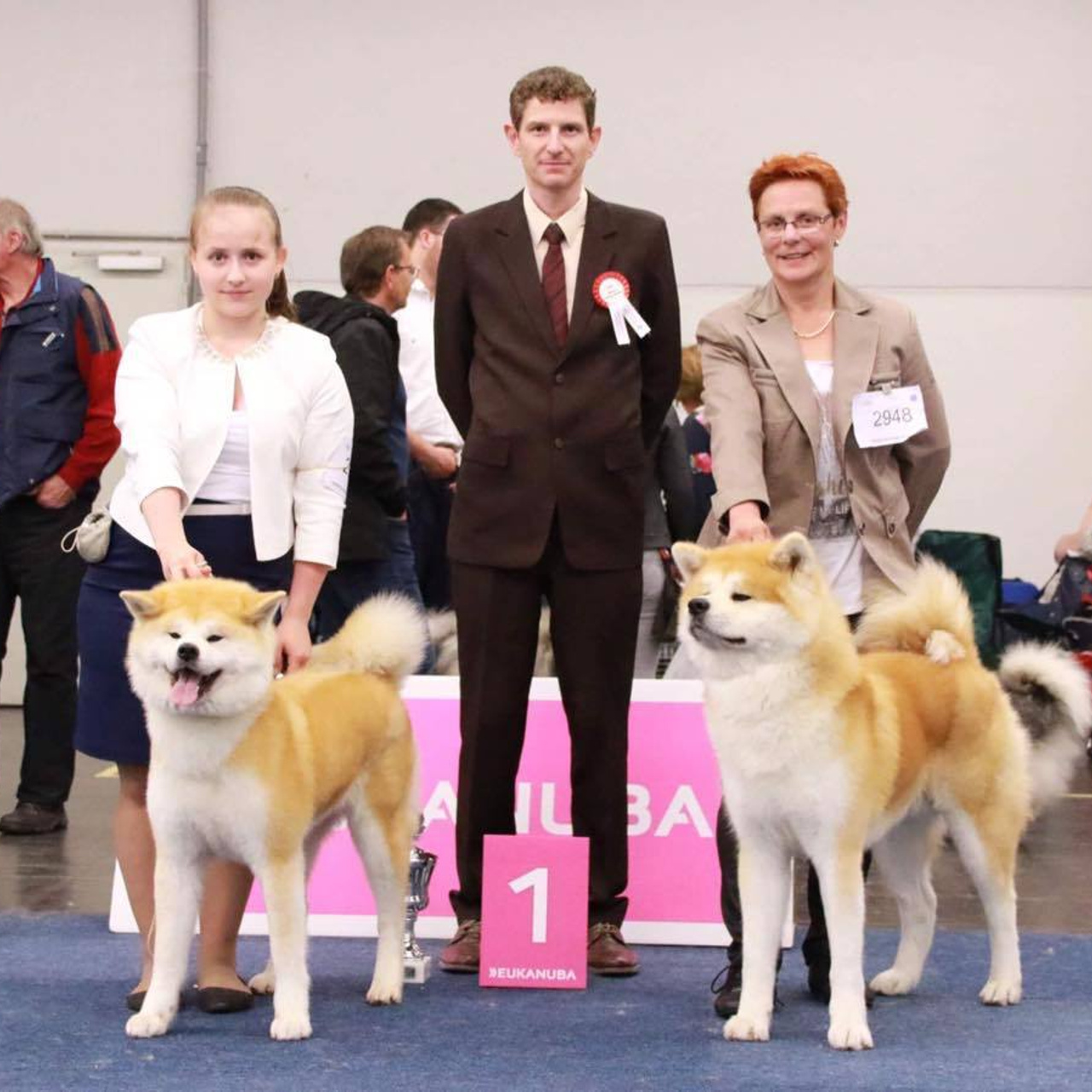 Dog show 2017. SHIOMARU Питомник сиба и акита-ину
