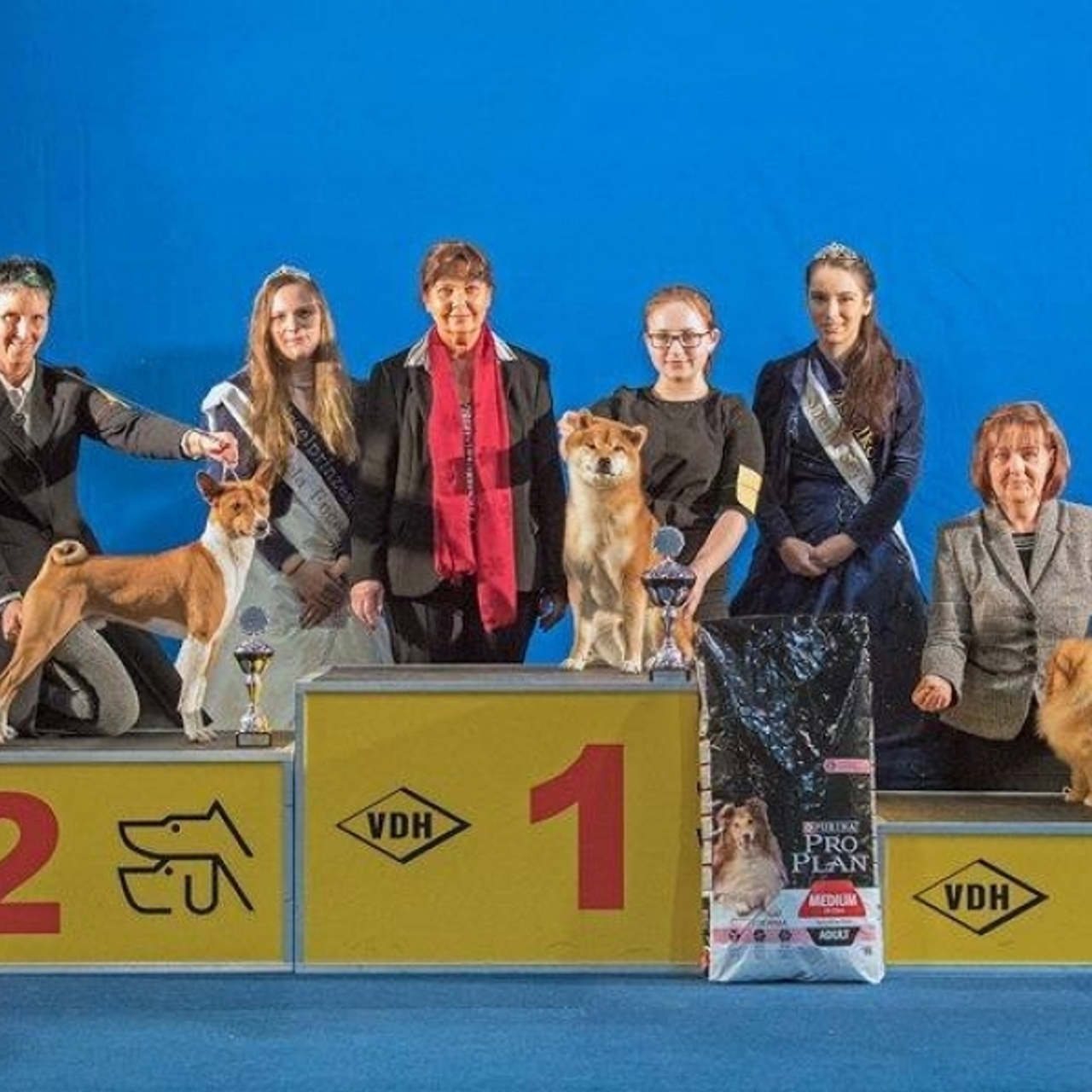 Dog show 2016. SHIOMARU Питомник сиба и акита-ину