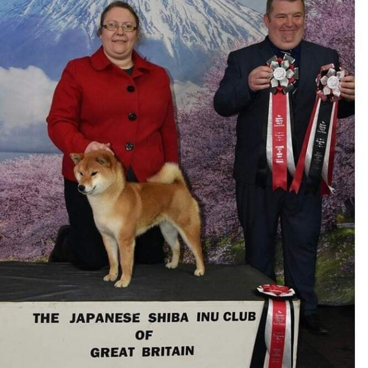 ПОМЕТ A. SHIOMARU Питомник сиба и акита-ину